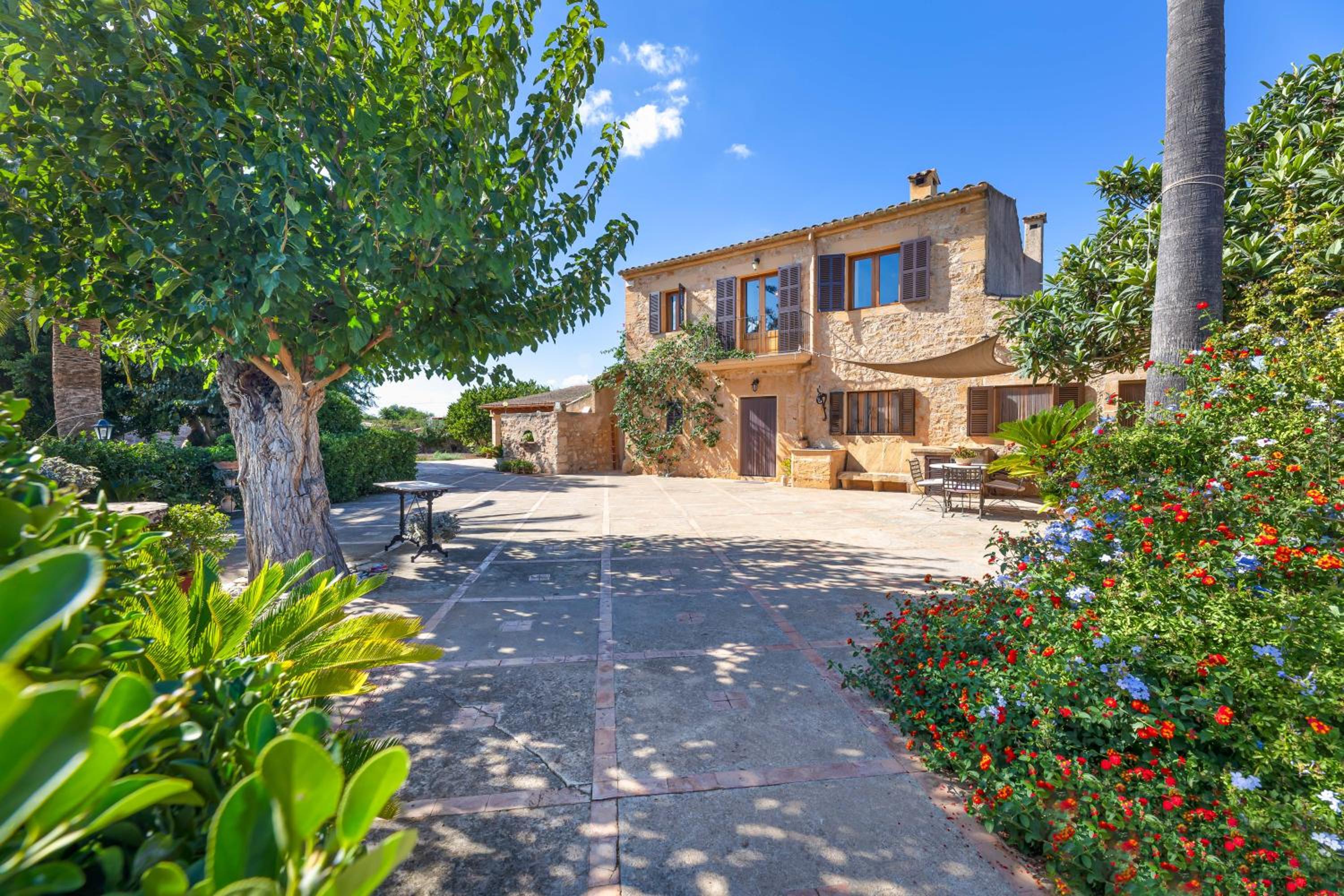 Finca Son Ramon Llull photo 3