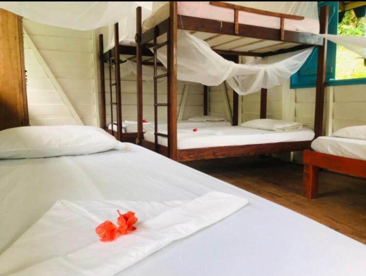 Photo 59