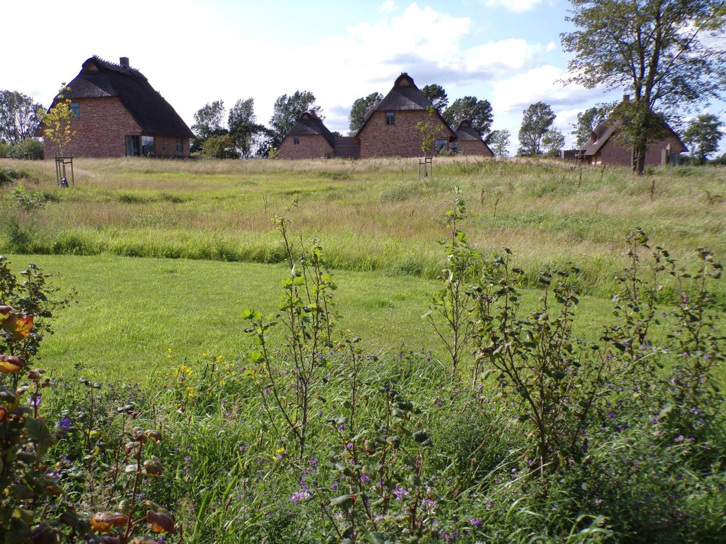 Reetdorf Geltinger Birk Malerhaus Niedermoor