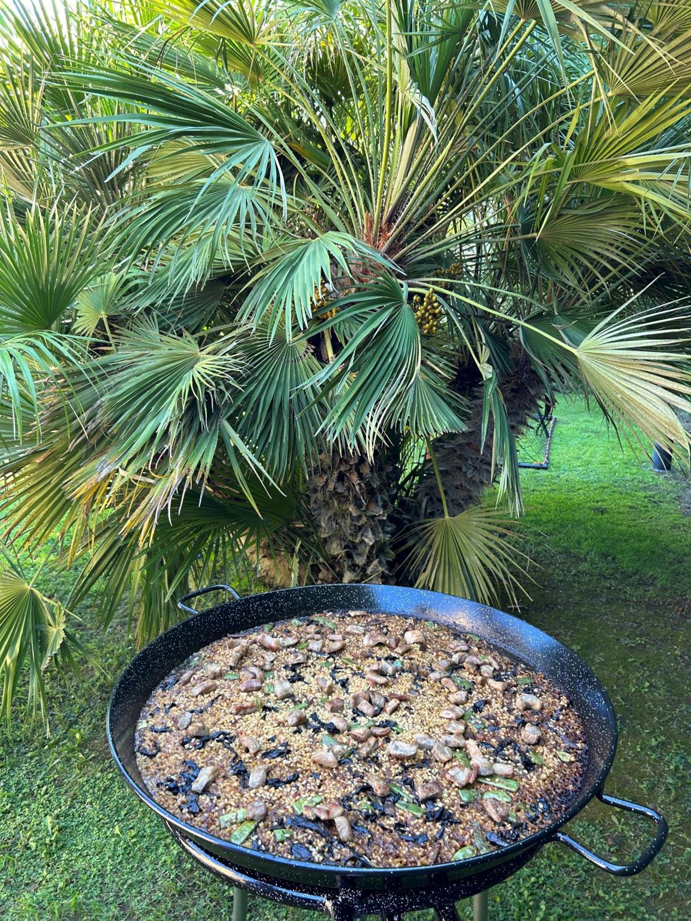 Photo 48