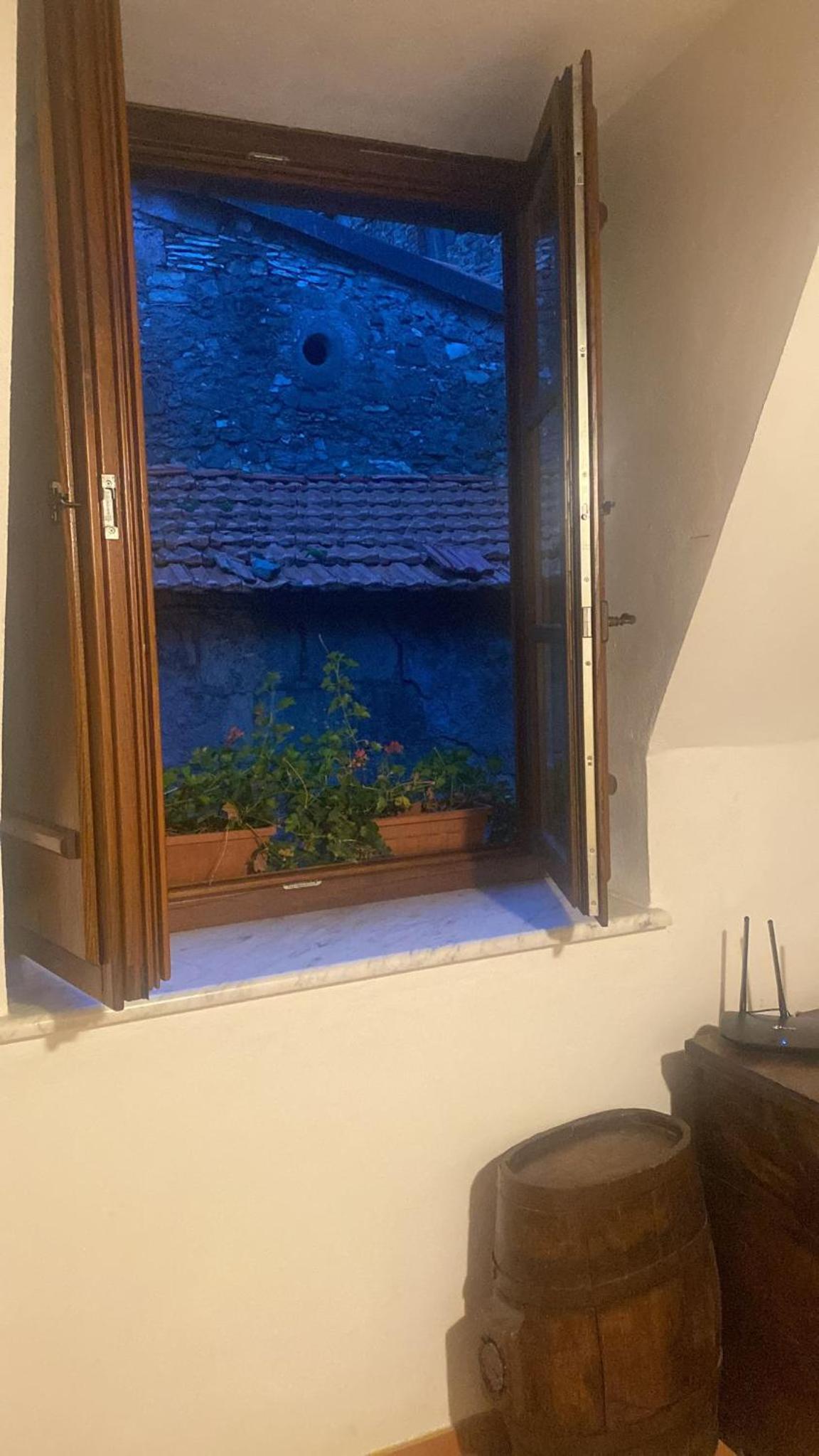 Photo 31