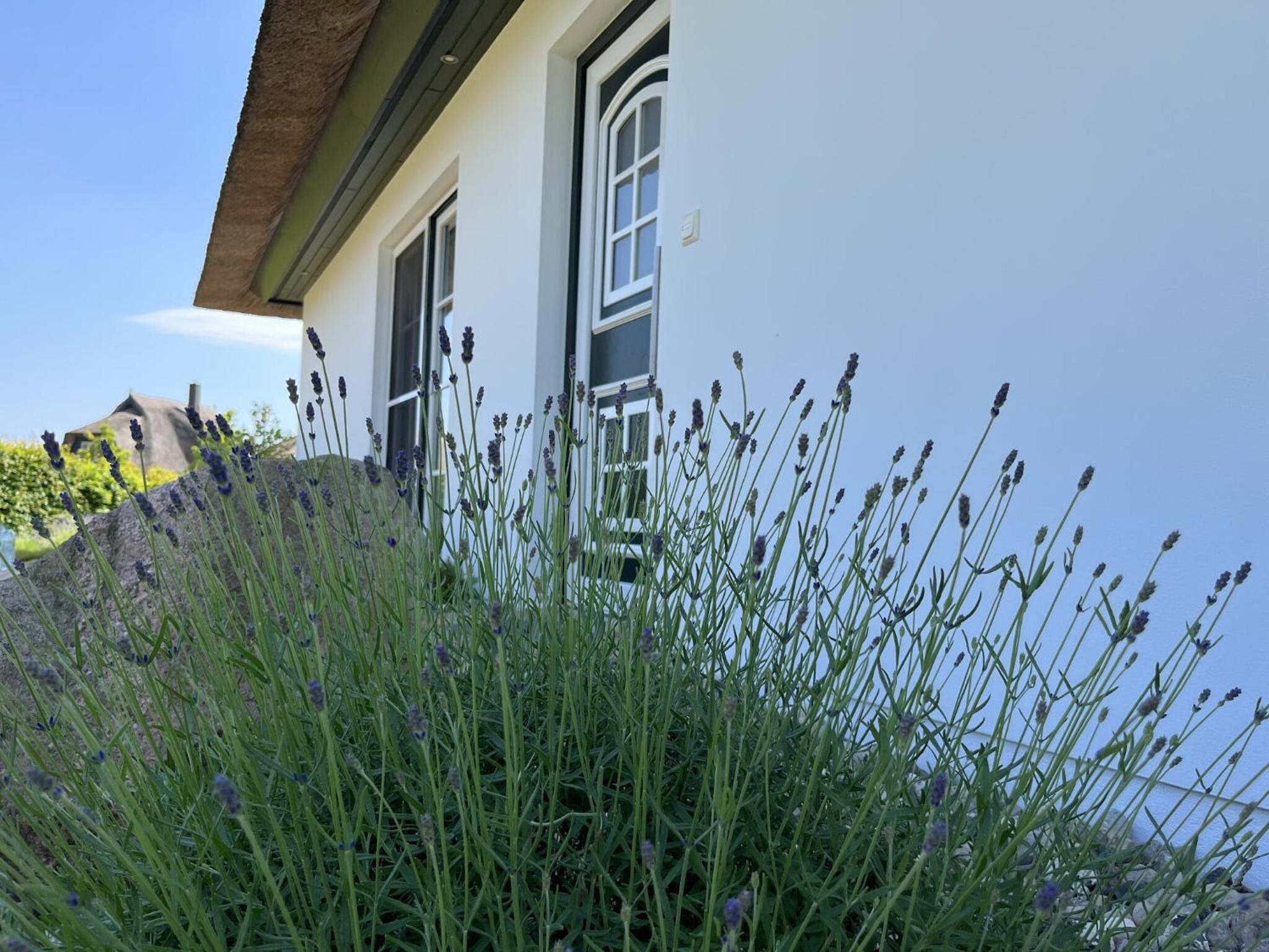 Villa Sorgenfrei