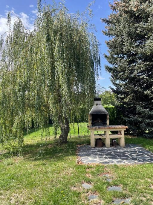 Photo 26