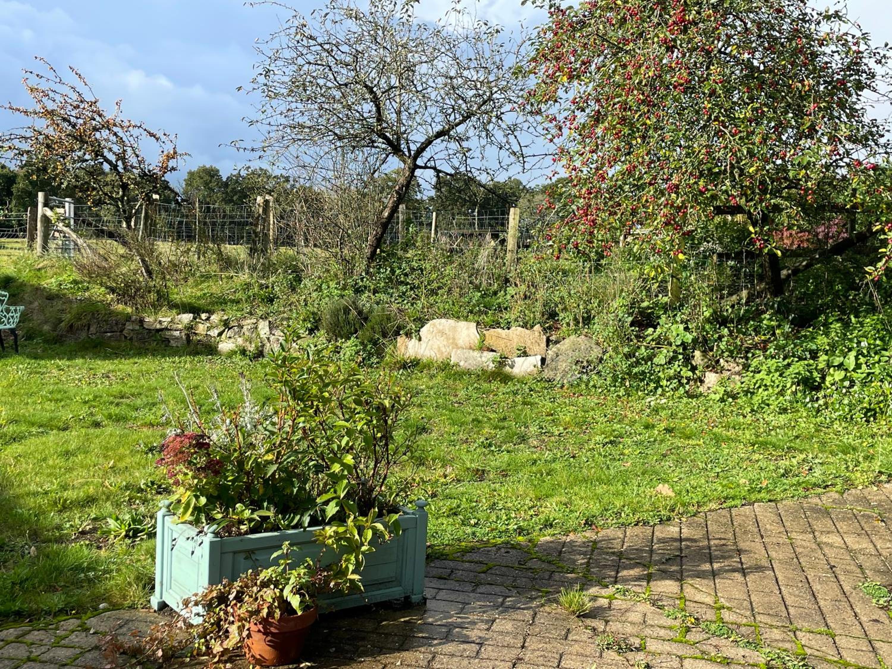 Photo 21