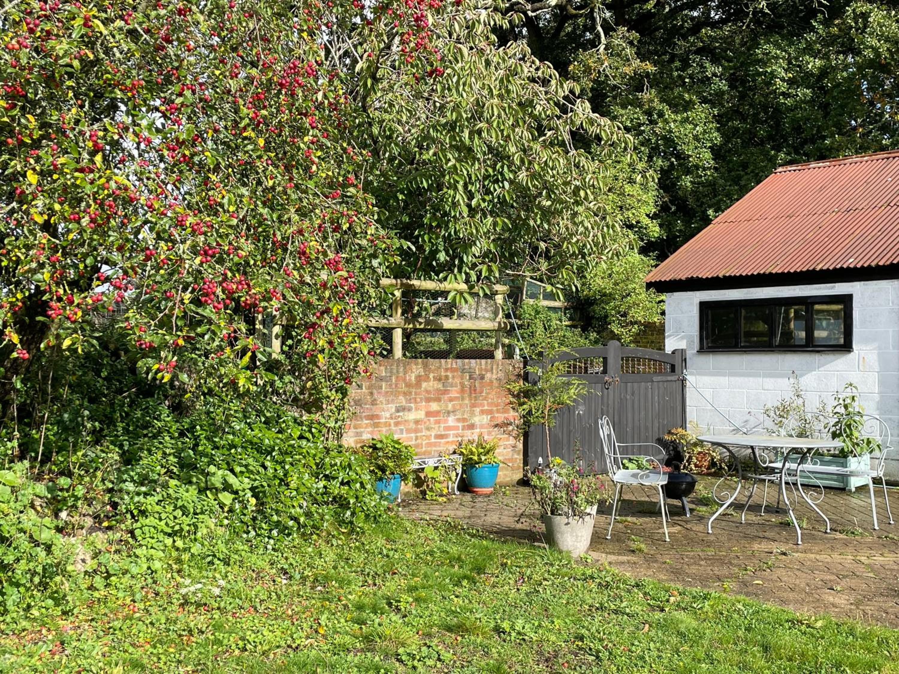 Photo 22
