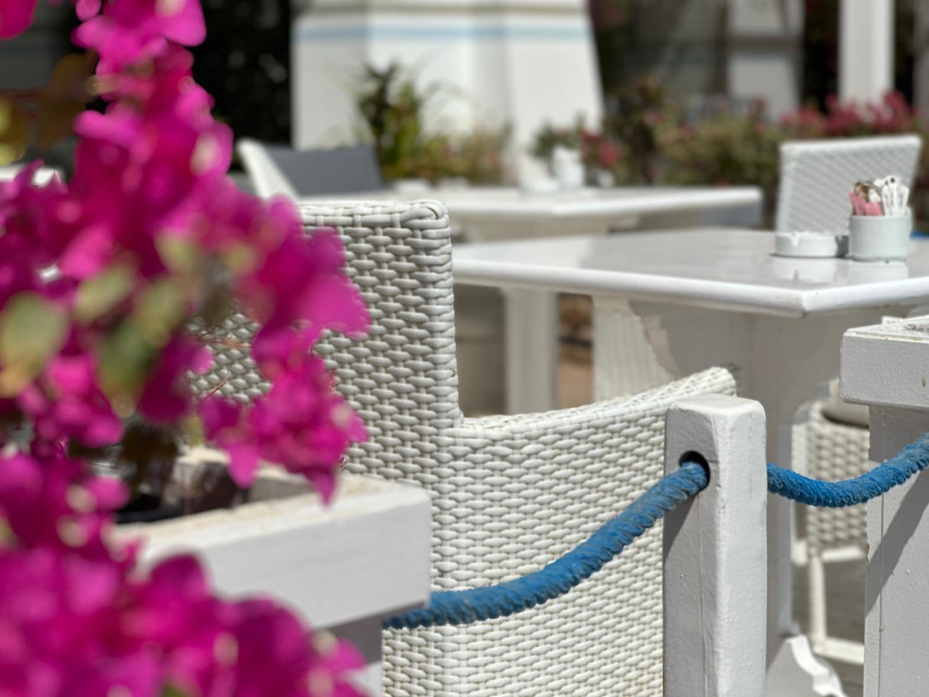 Suite Elisir Egitto Domina Coral Bay Resort