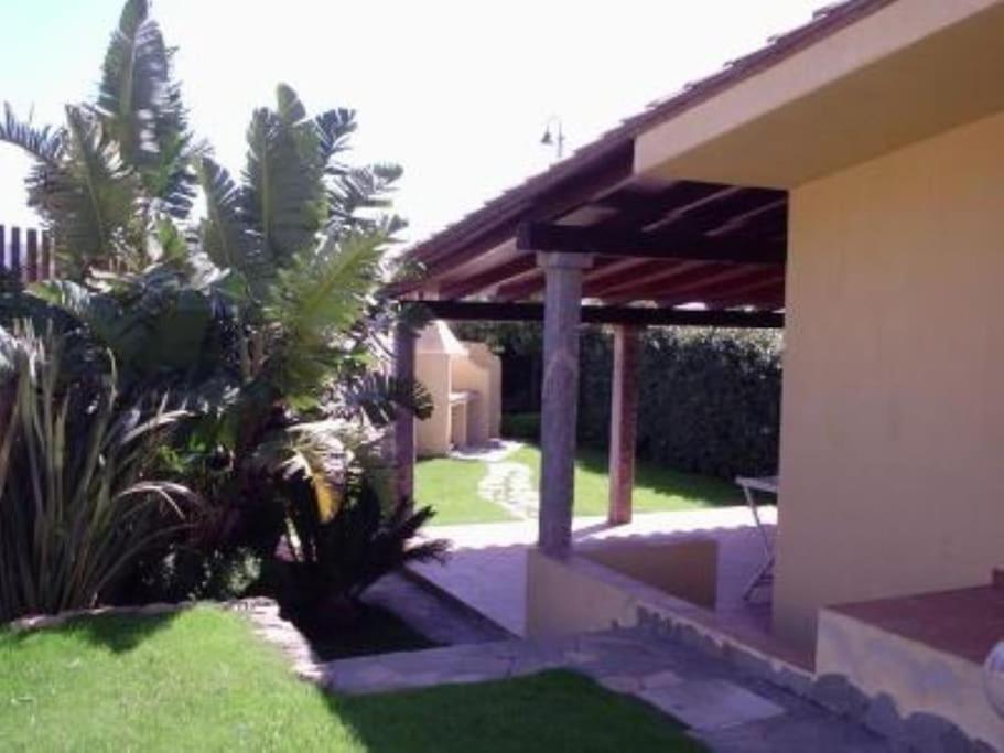 Photo 8