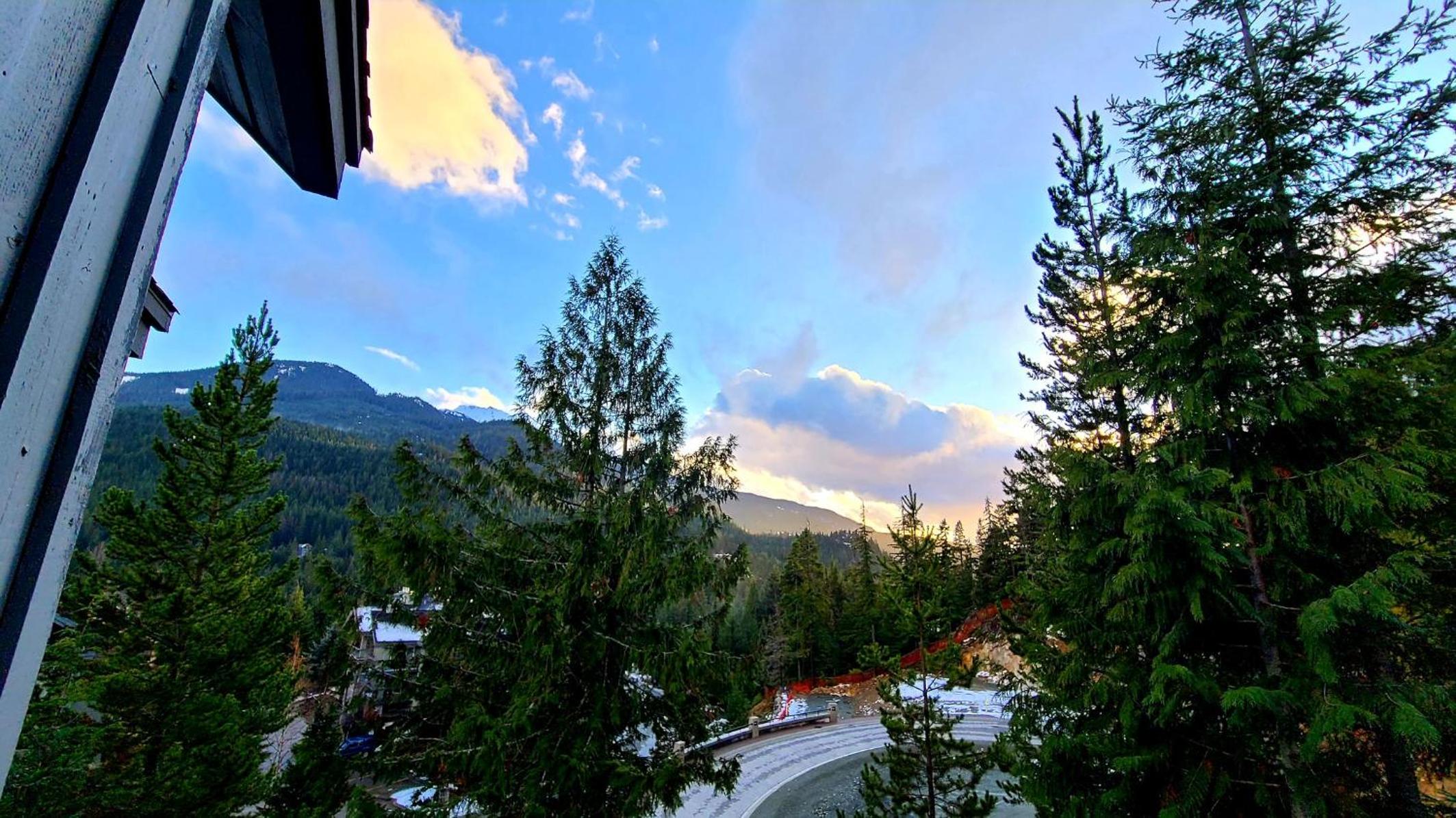 Newly Renovated! Spacious 3 bedrooms plus enclosed loft bedroom and TV room!