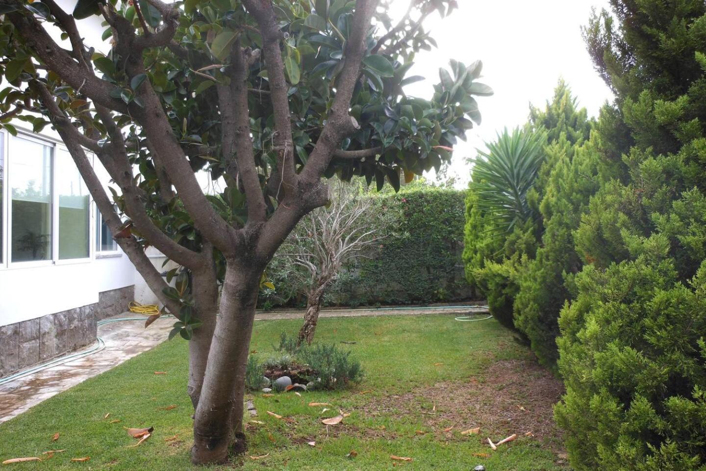 CascaiSintra Holiday view 2