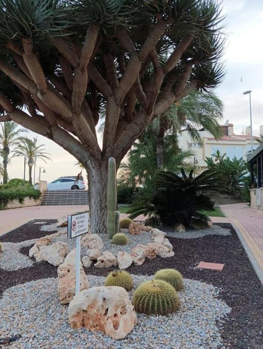 Apartamento EN ISLA PLANA
