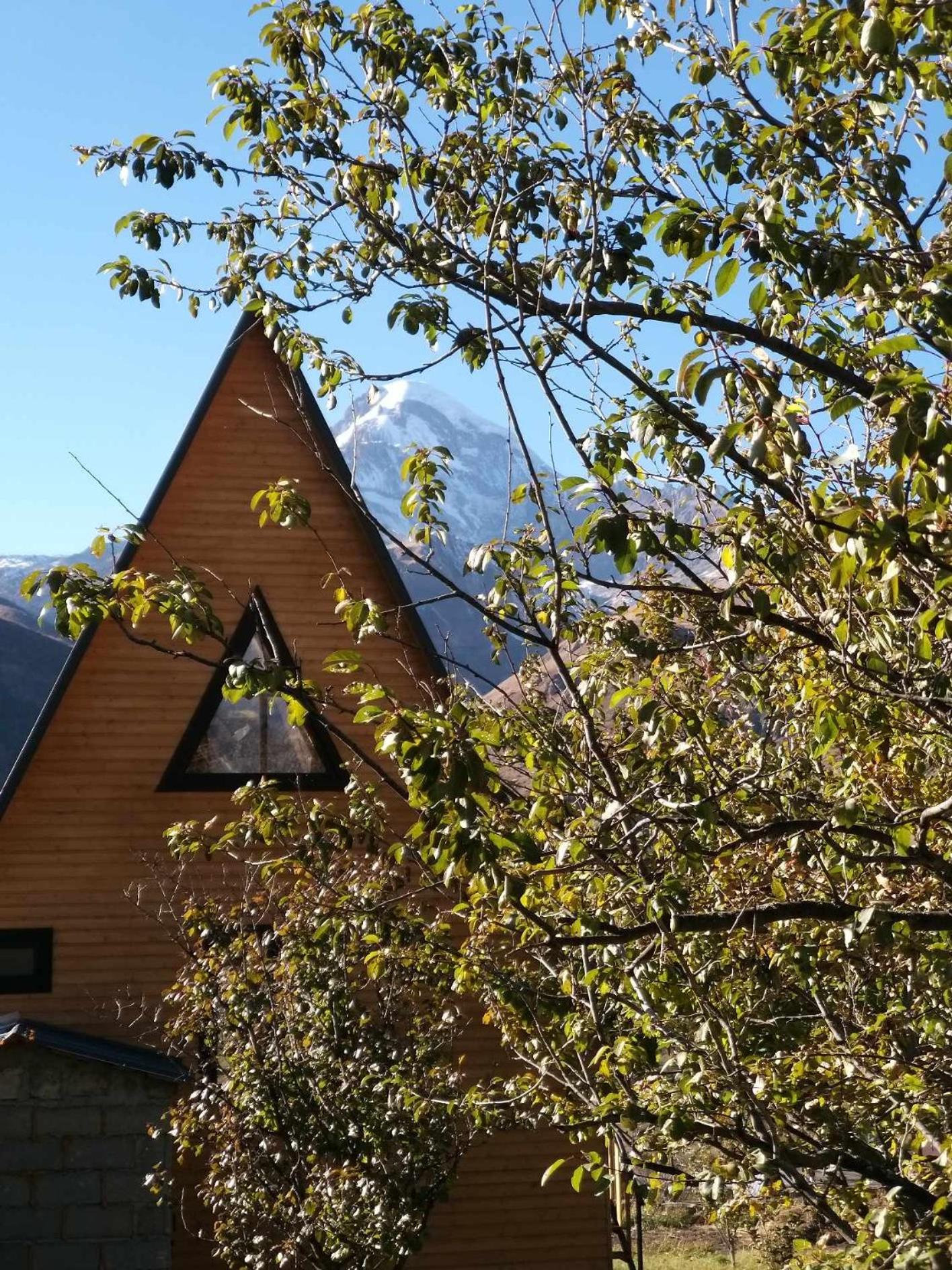 Emotion Kazbegi