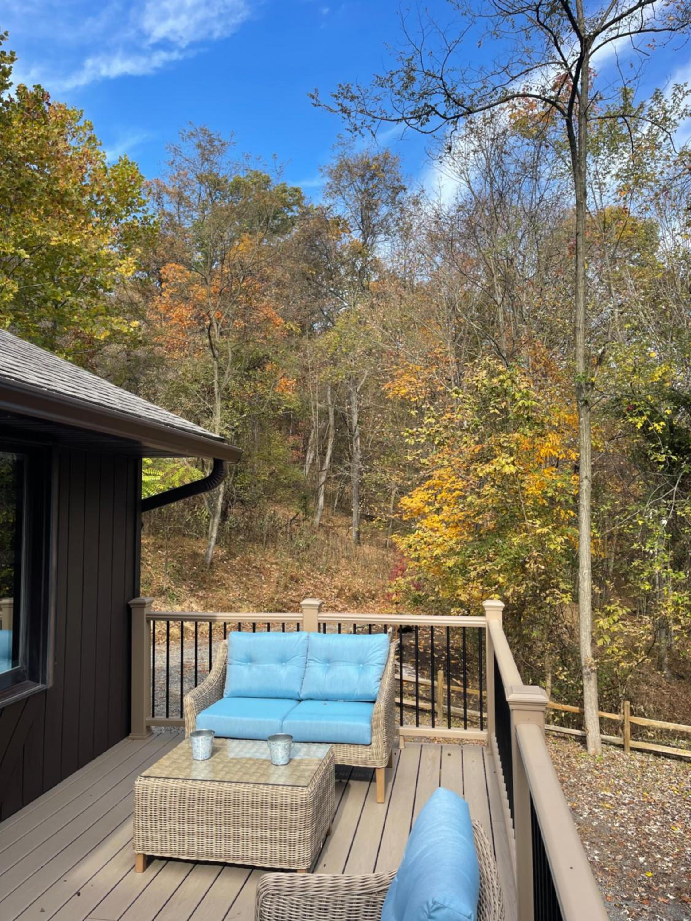 Woodland Oasis