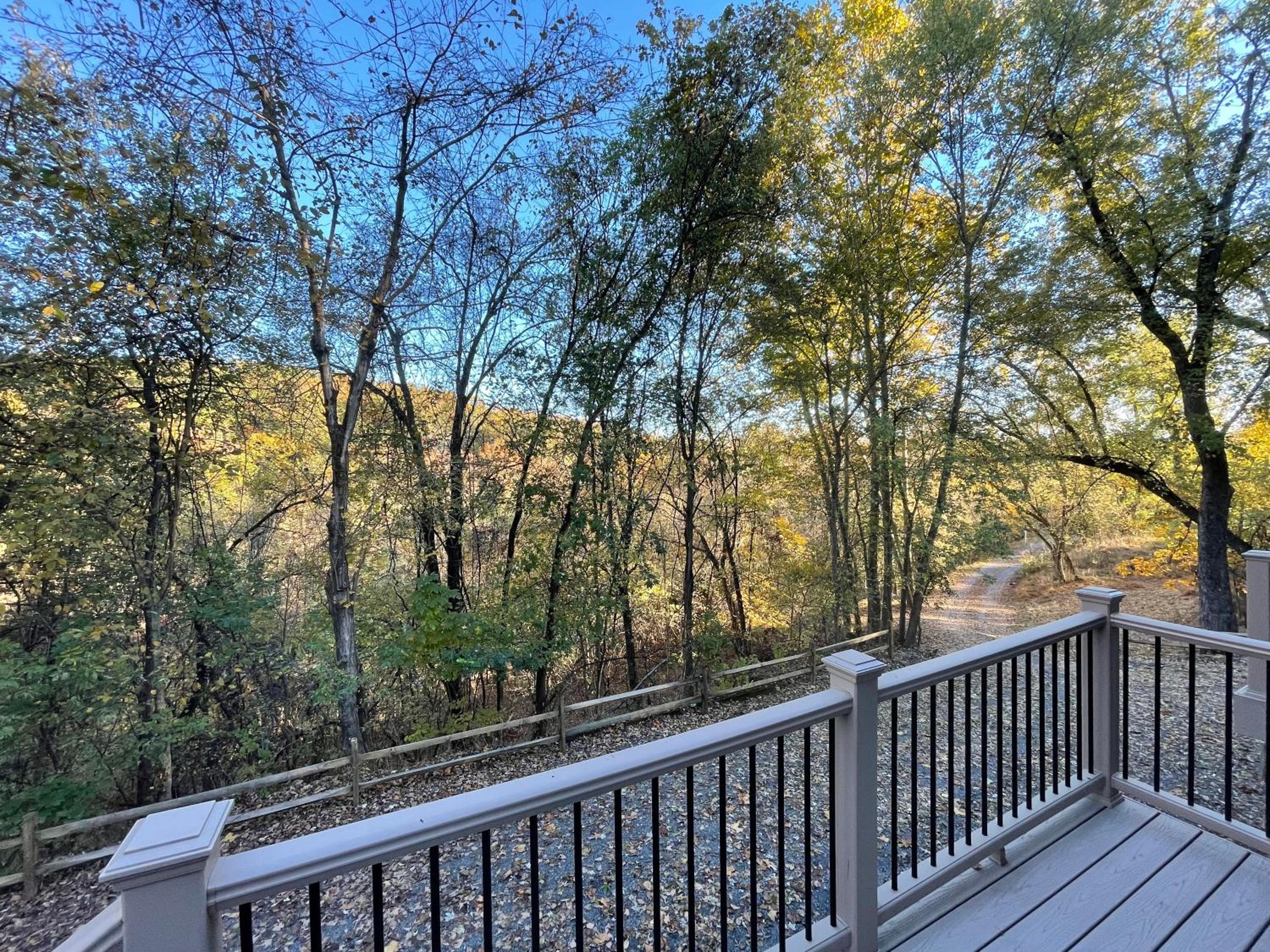 Woodland Oasis