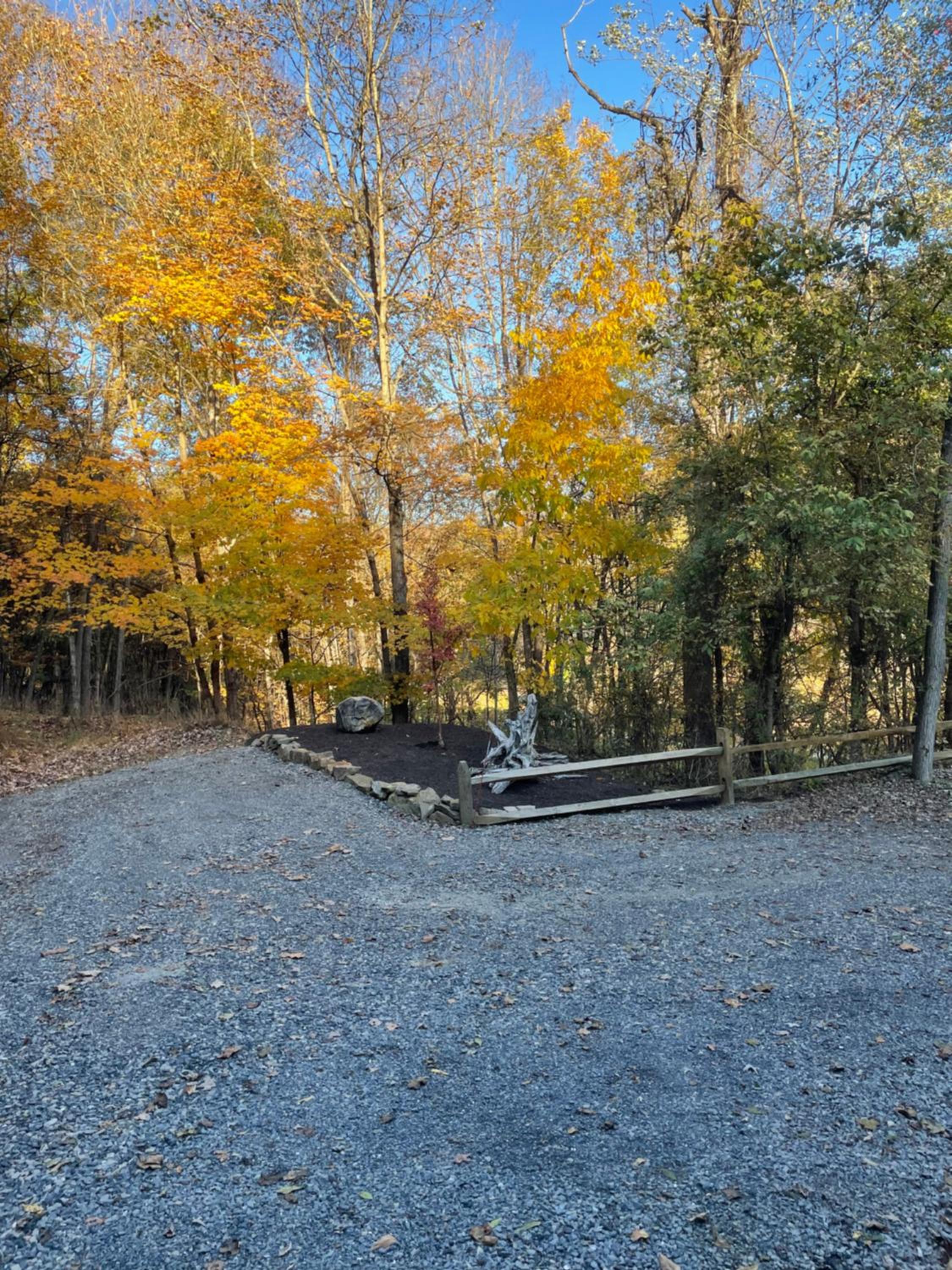 Woodland Oasis