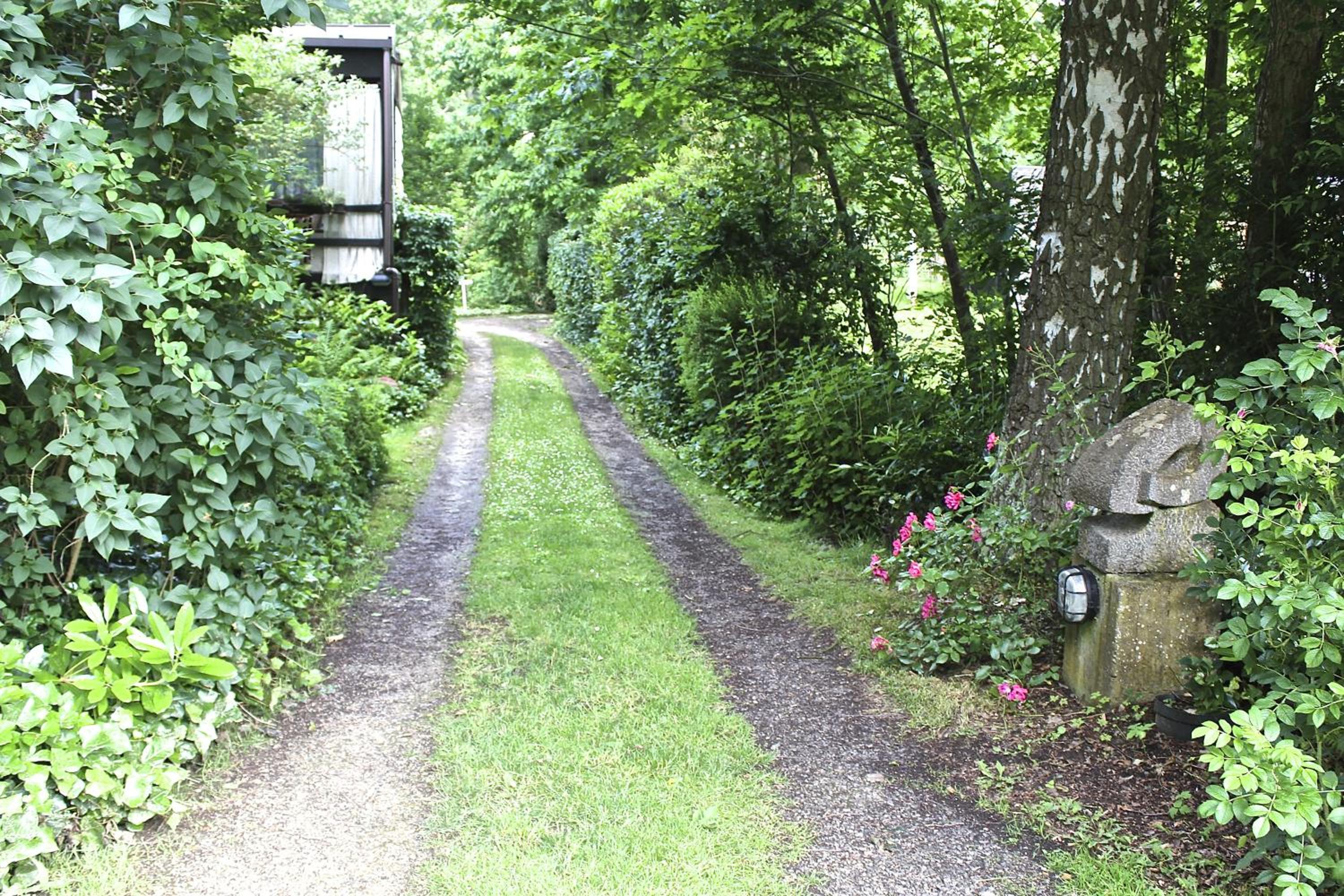 Linden-Jachthoorn, photo 48