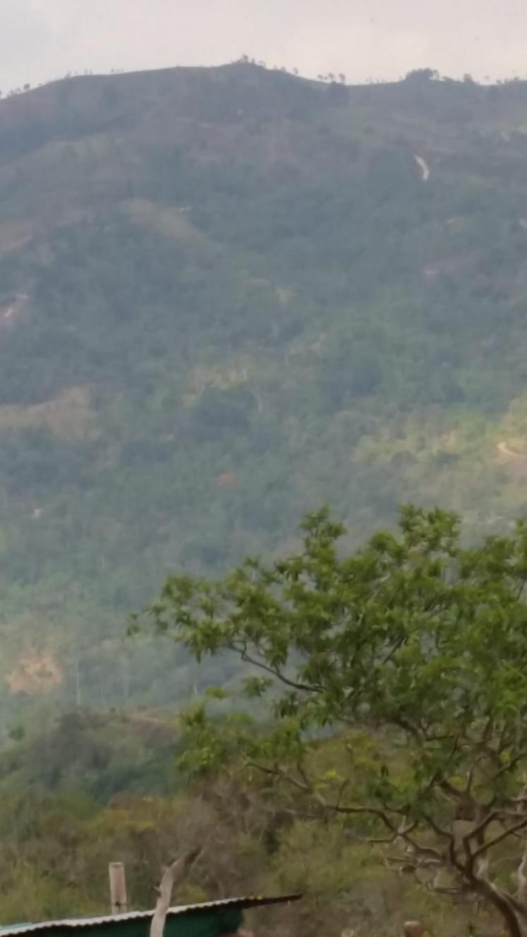 CABAÑAS CAMPO ALEGRE