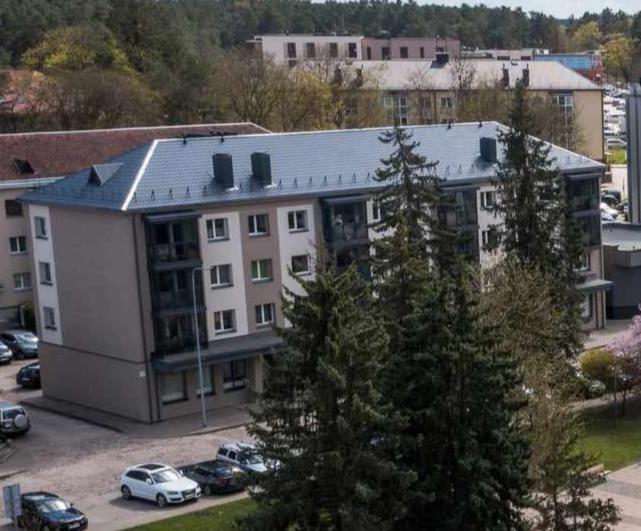 Alyvų tako studija