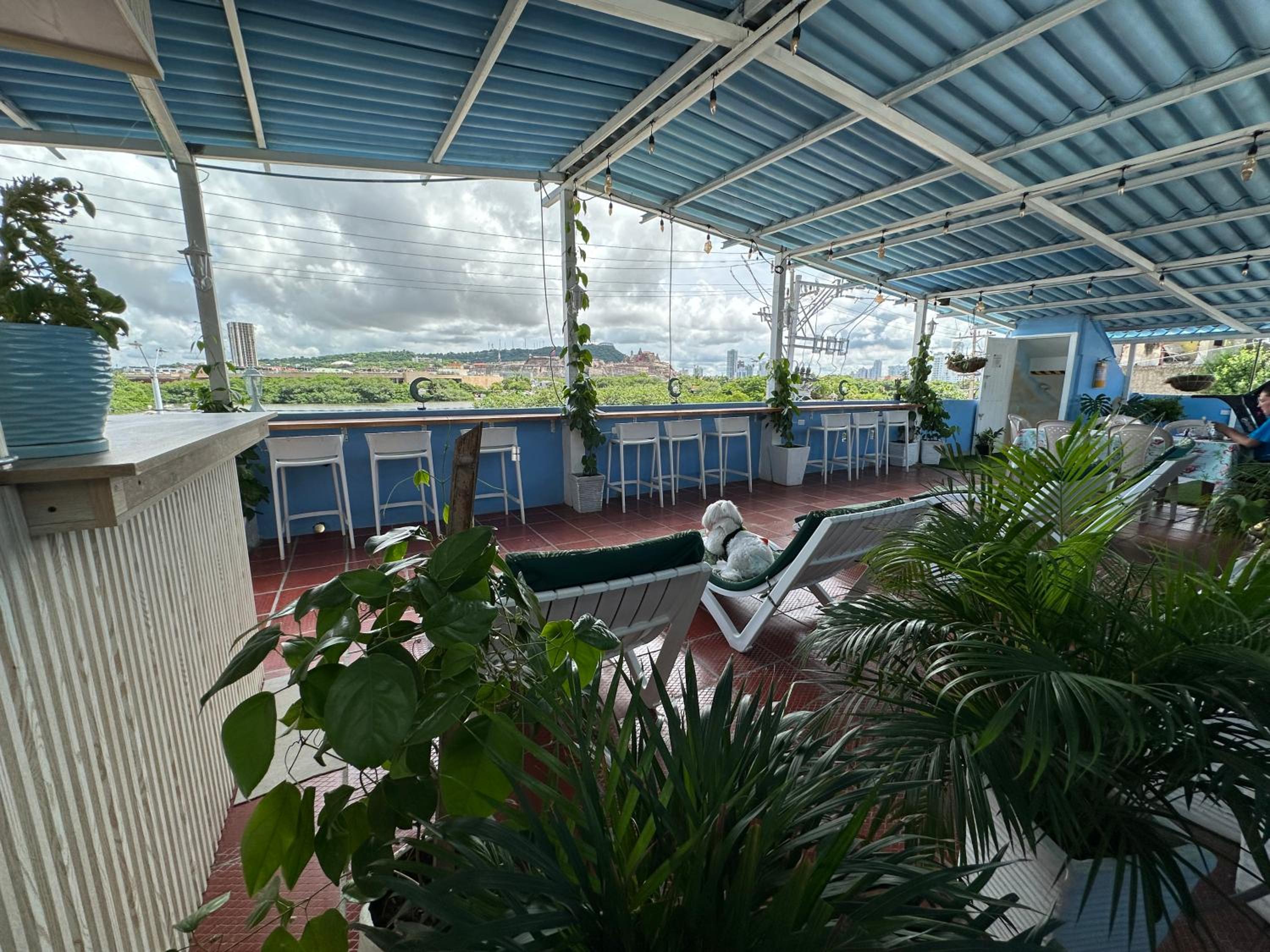 Photo 14