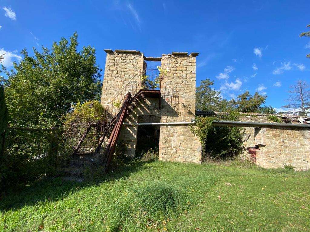 Gli ulivi Gualdo Tadino view 3