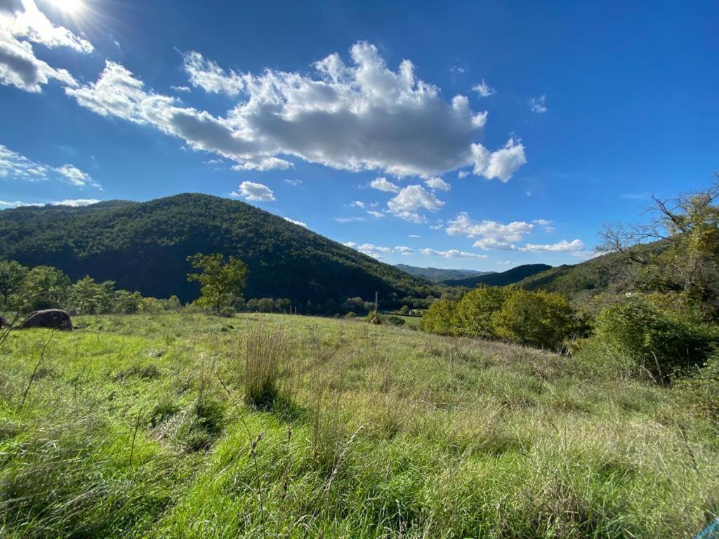 Gli ulivi Gualdo Tadino view 5