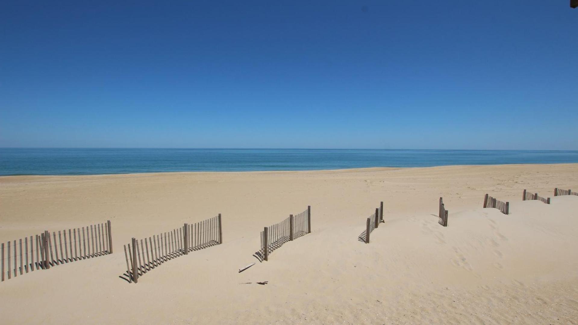 OCEANFRONT, Ocean Views, Dogs Welcome, Beach Access, KH42, Sea Eagle view 3