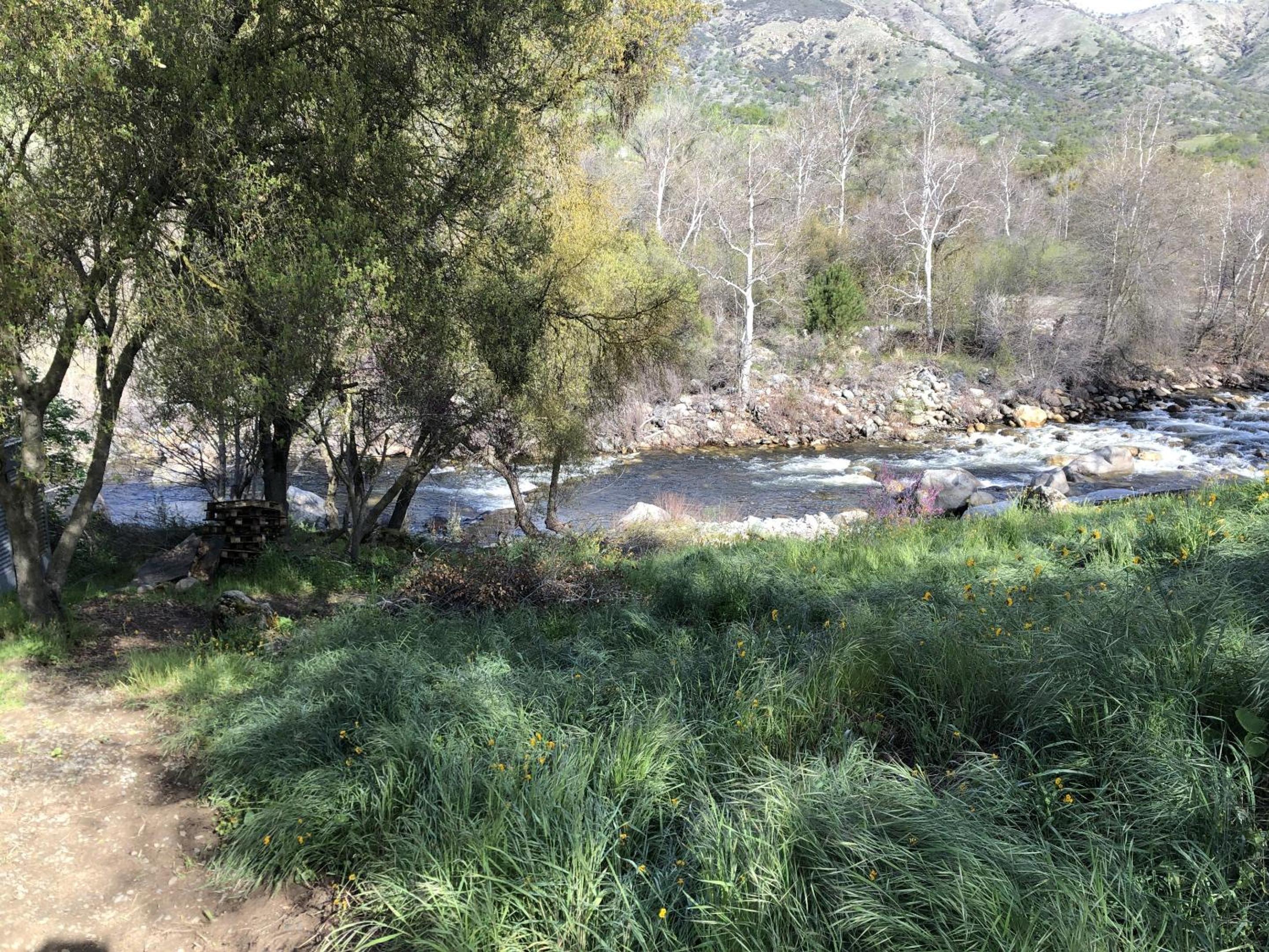 Photo 29