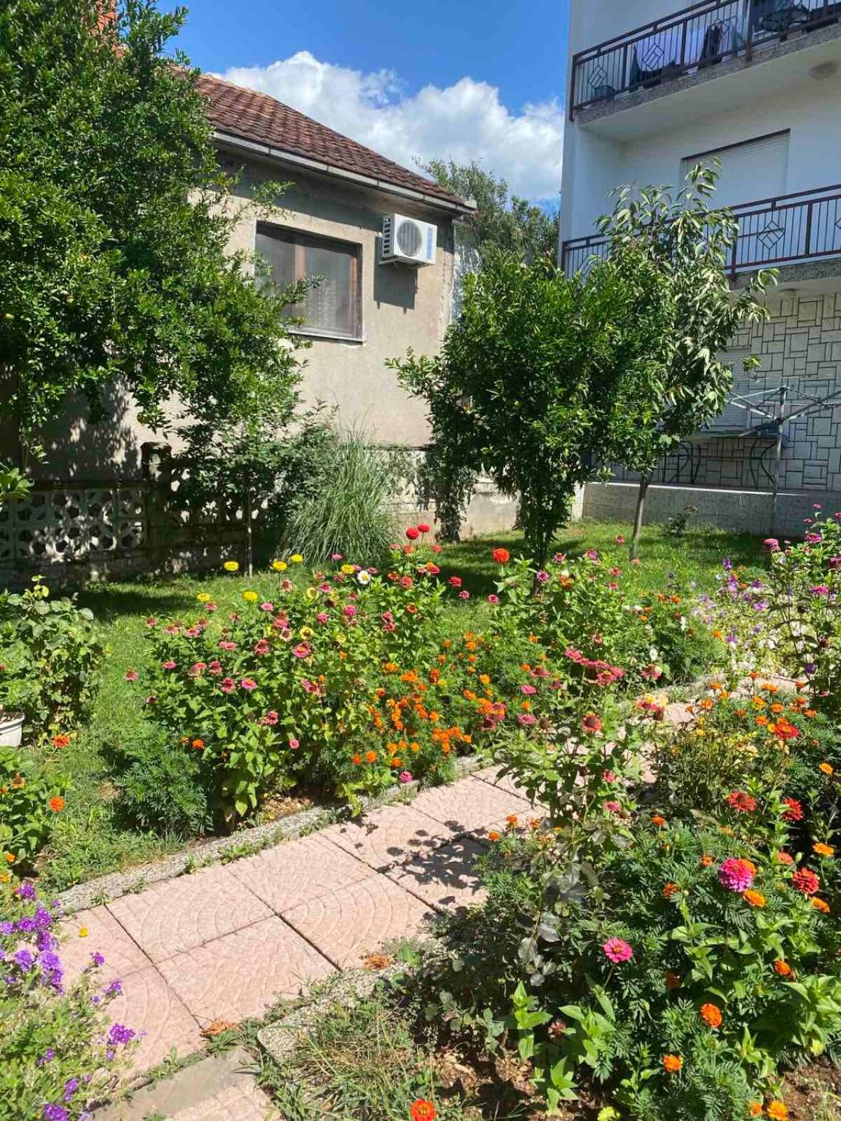 Apartment Dalila