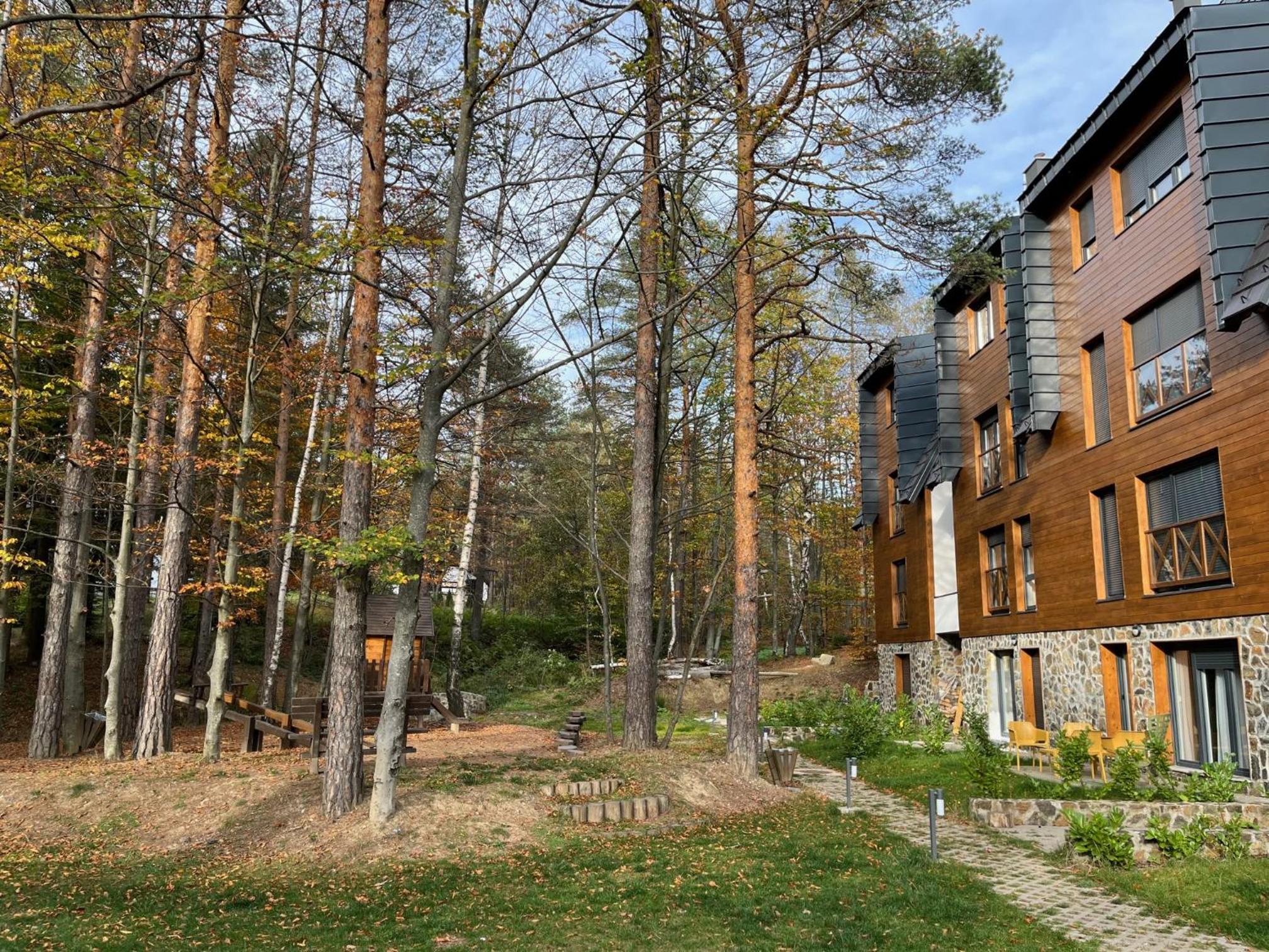 Apartman Lara - Divčigora view 4