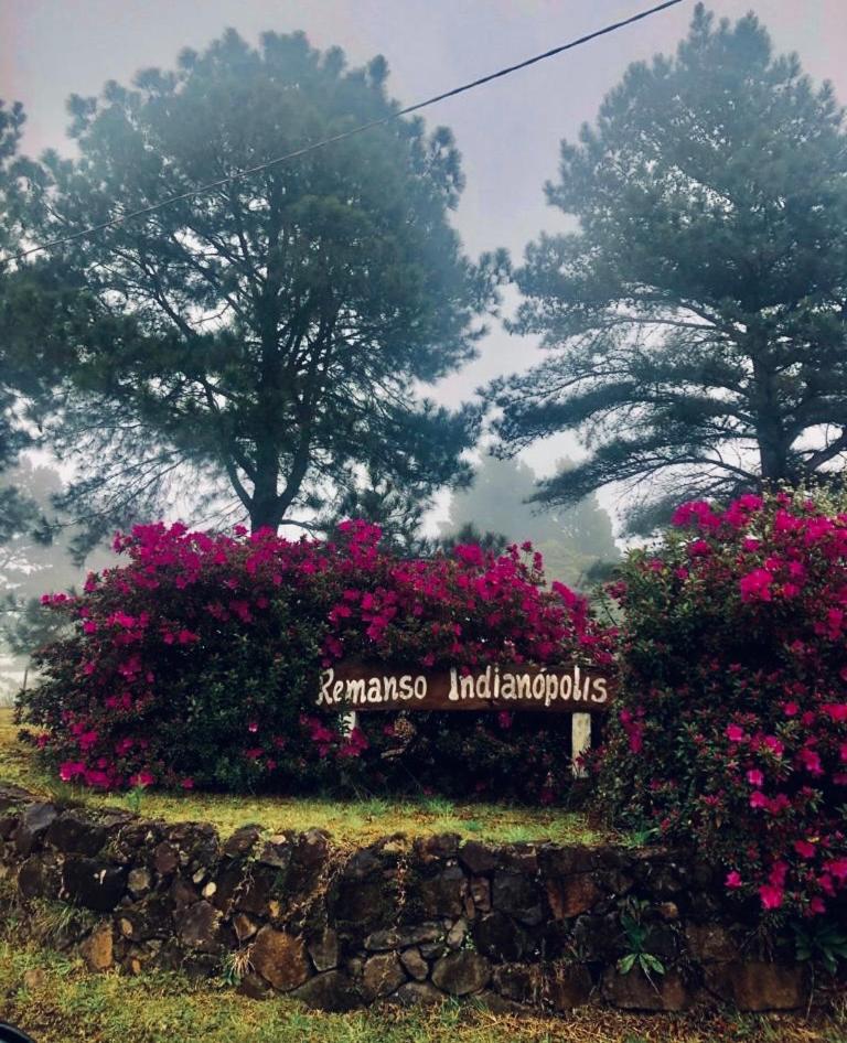 Santa Mônica Garden House