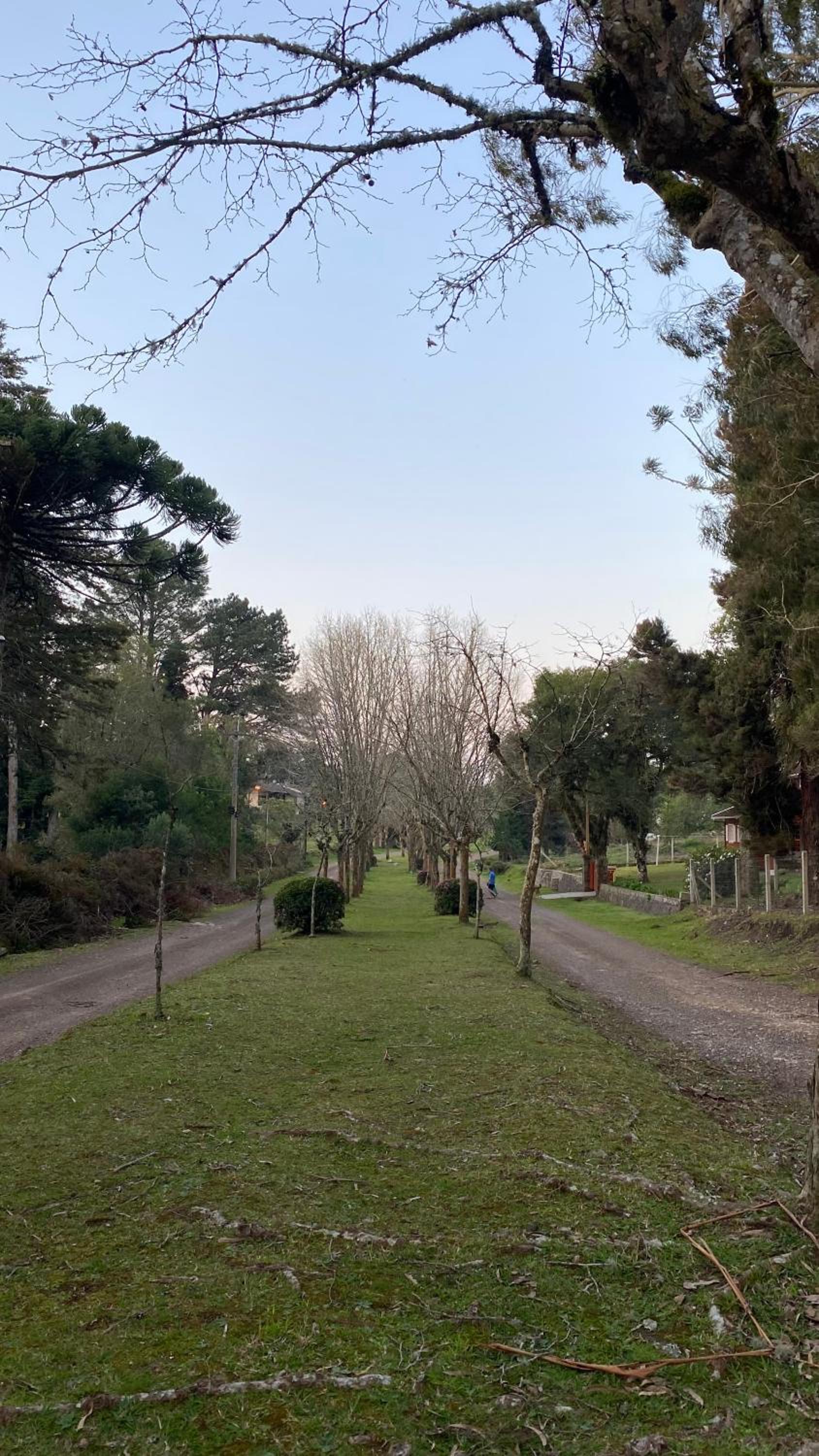 Santa Mônica Garden House