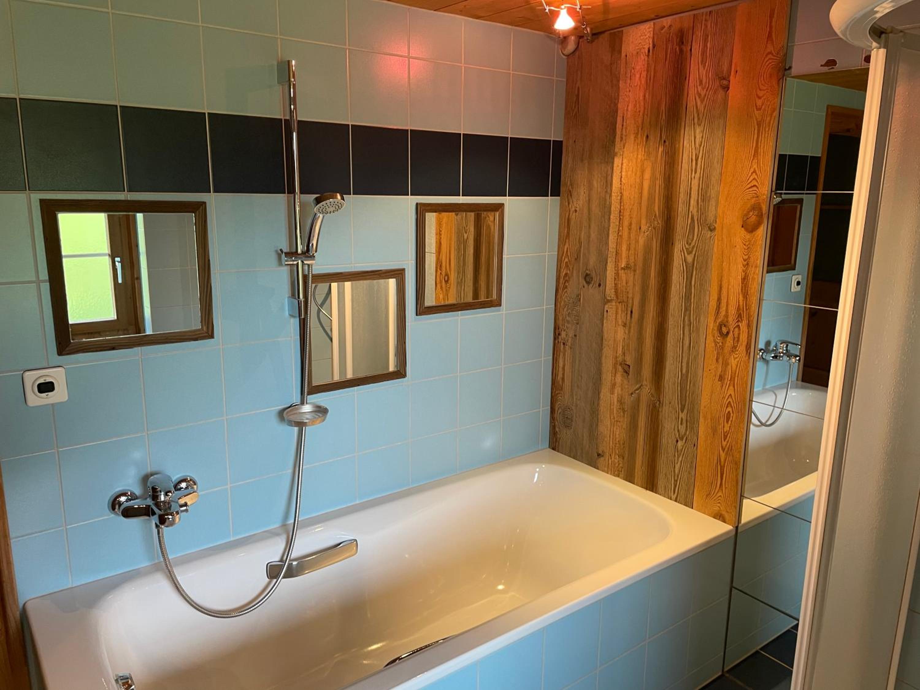 Edelweiss 4 Zi Ferienwohnung in Landhaus