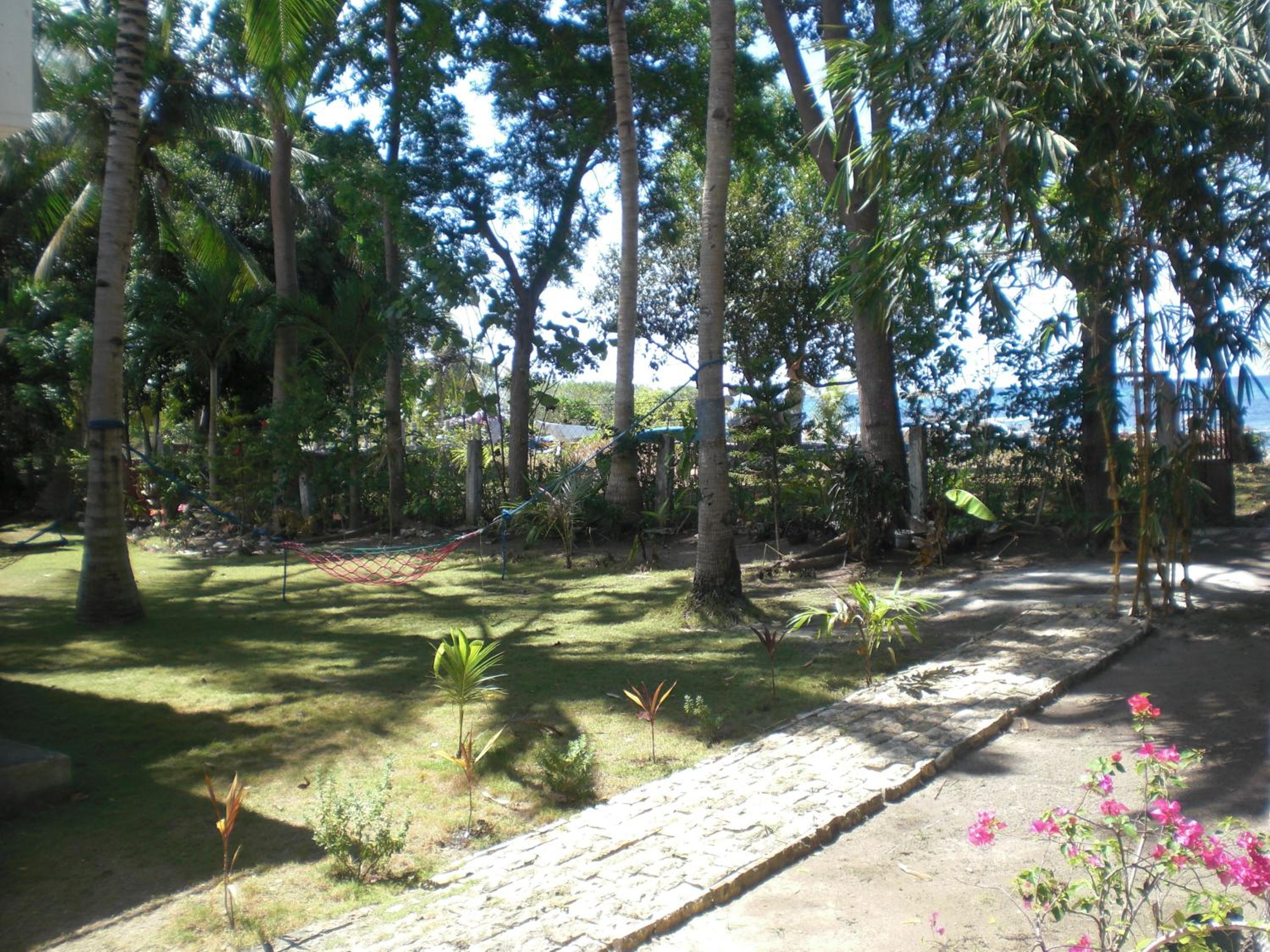Photo 43
