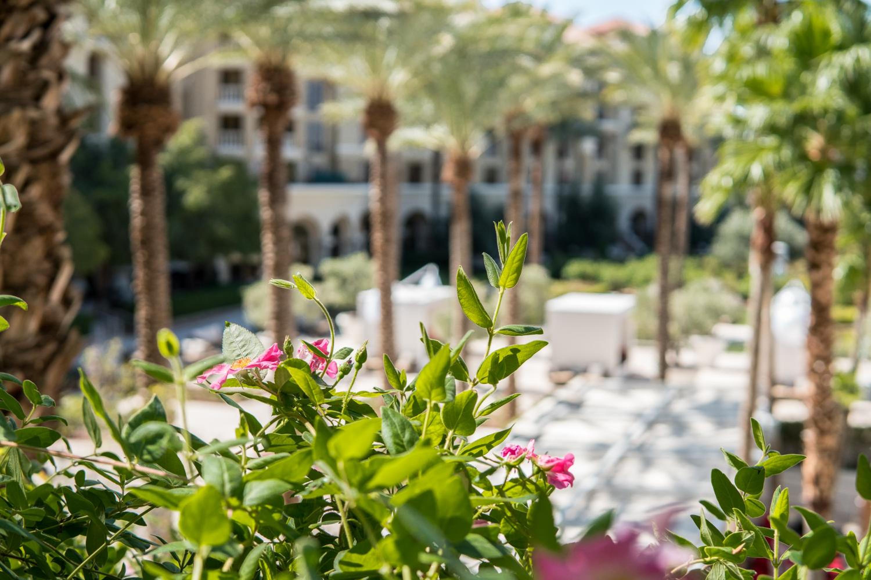 Green Valley Ranch Resort and Spa 186
