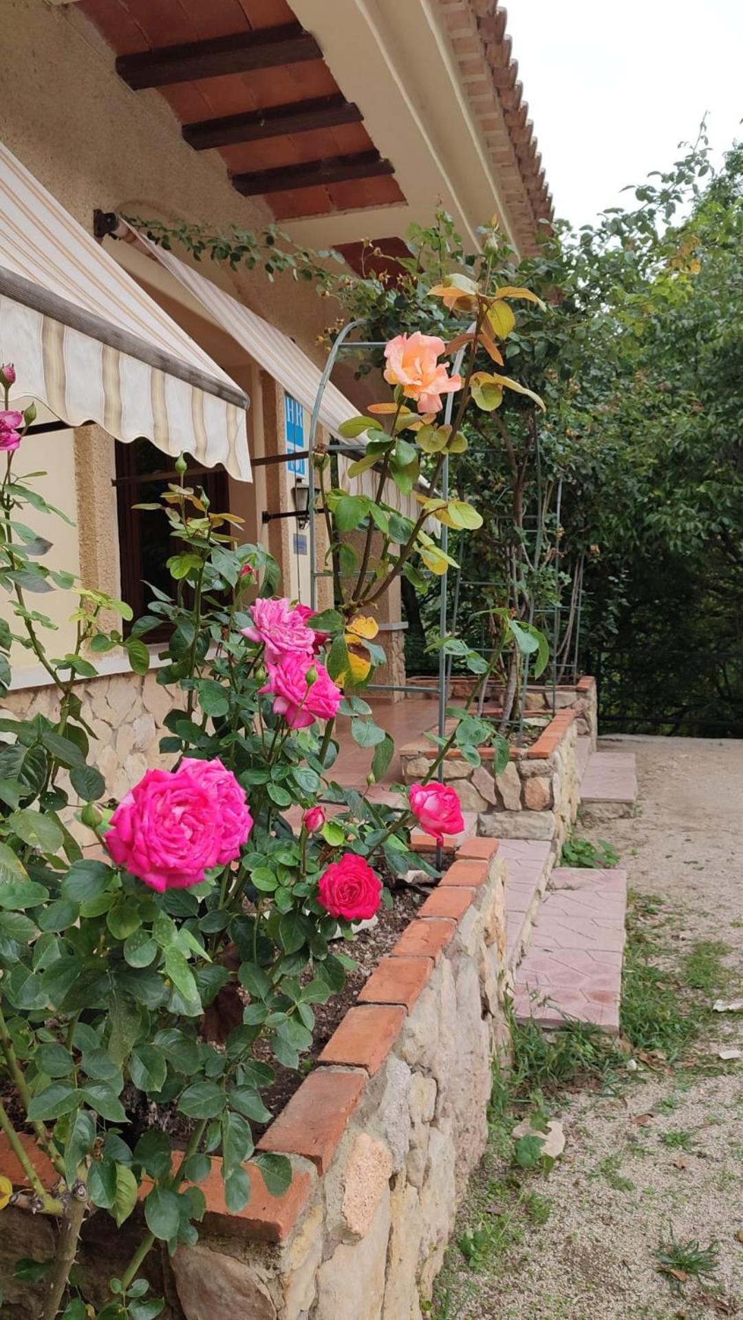 Hostal Restaurante Andra