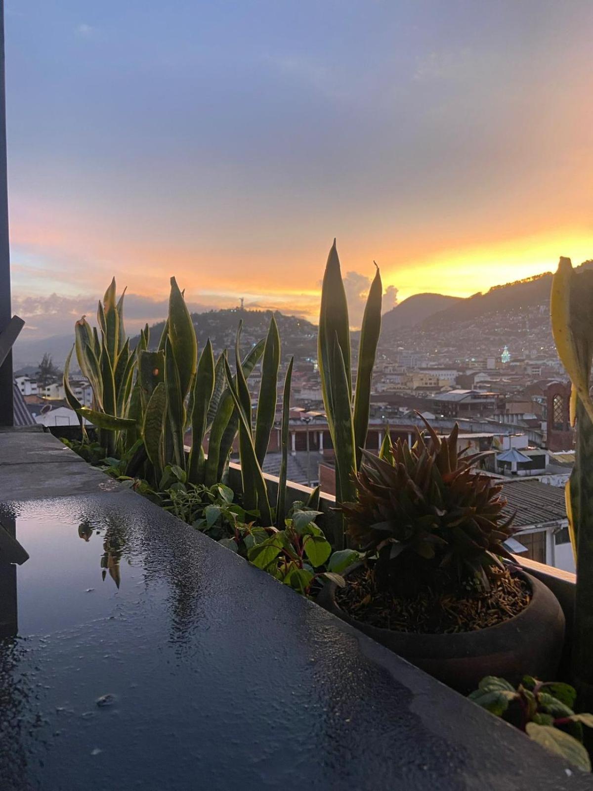 Hostal La Guayunga RoofTop