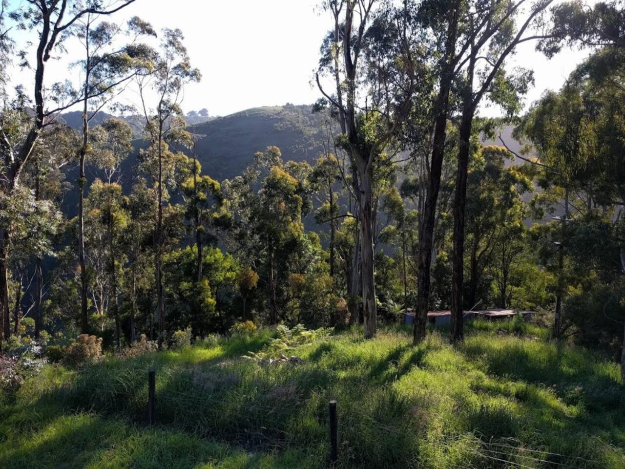HILLSIDE HOUSE
