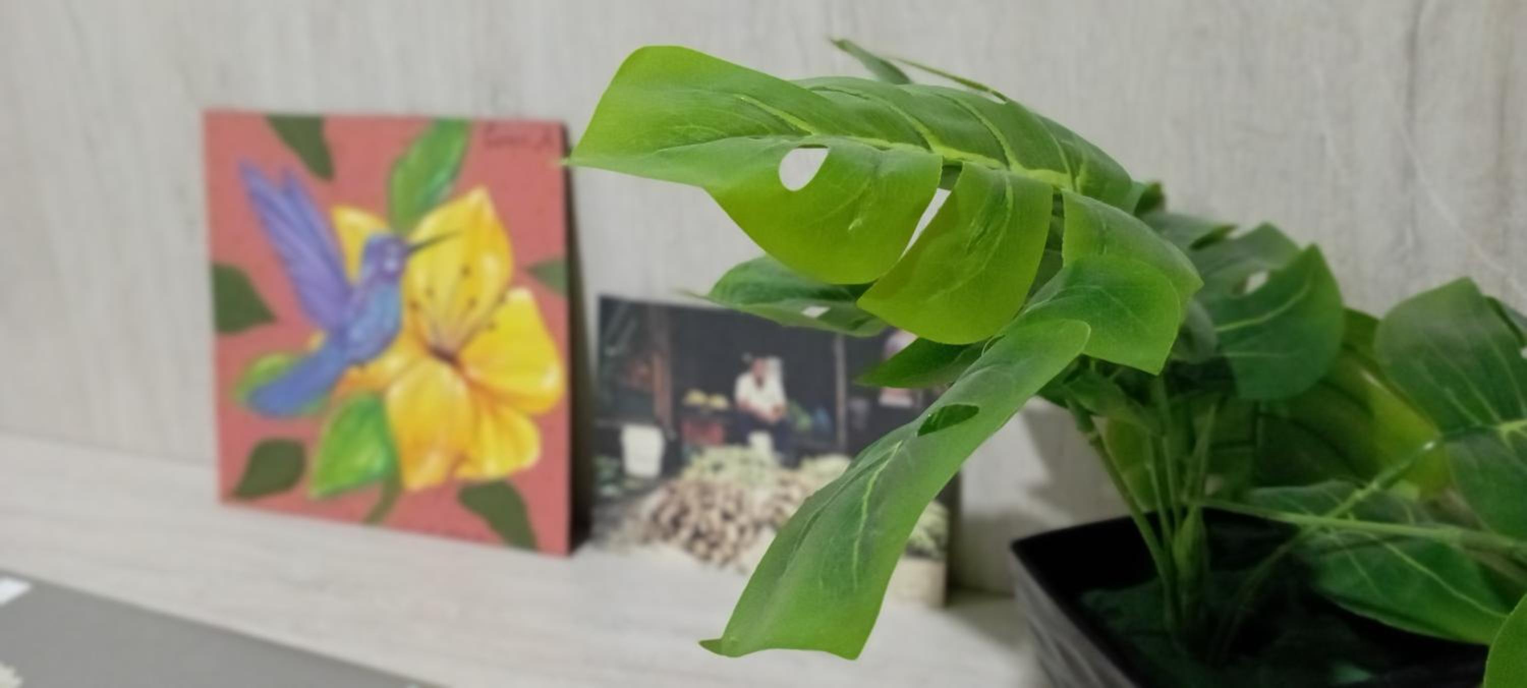 Apartamento Centro Histórico Santa Marta