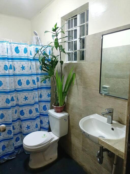 Louie's Place in Baguio City view 3