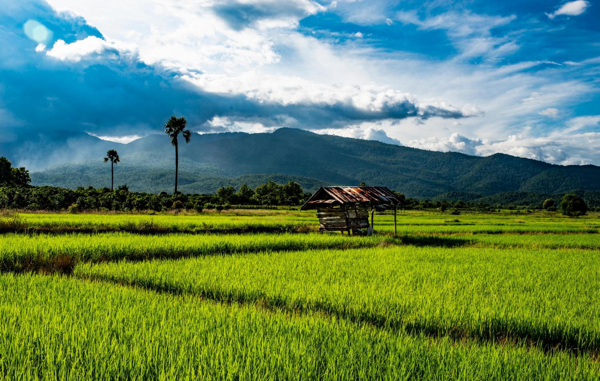 Suan Sook Homestay