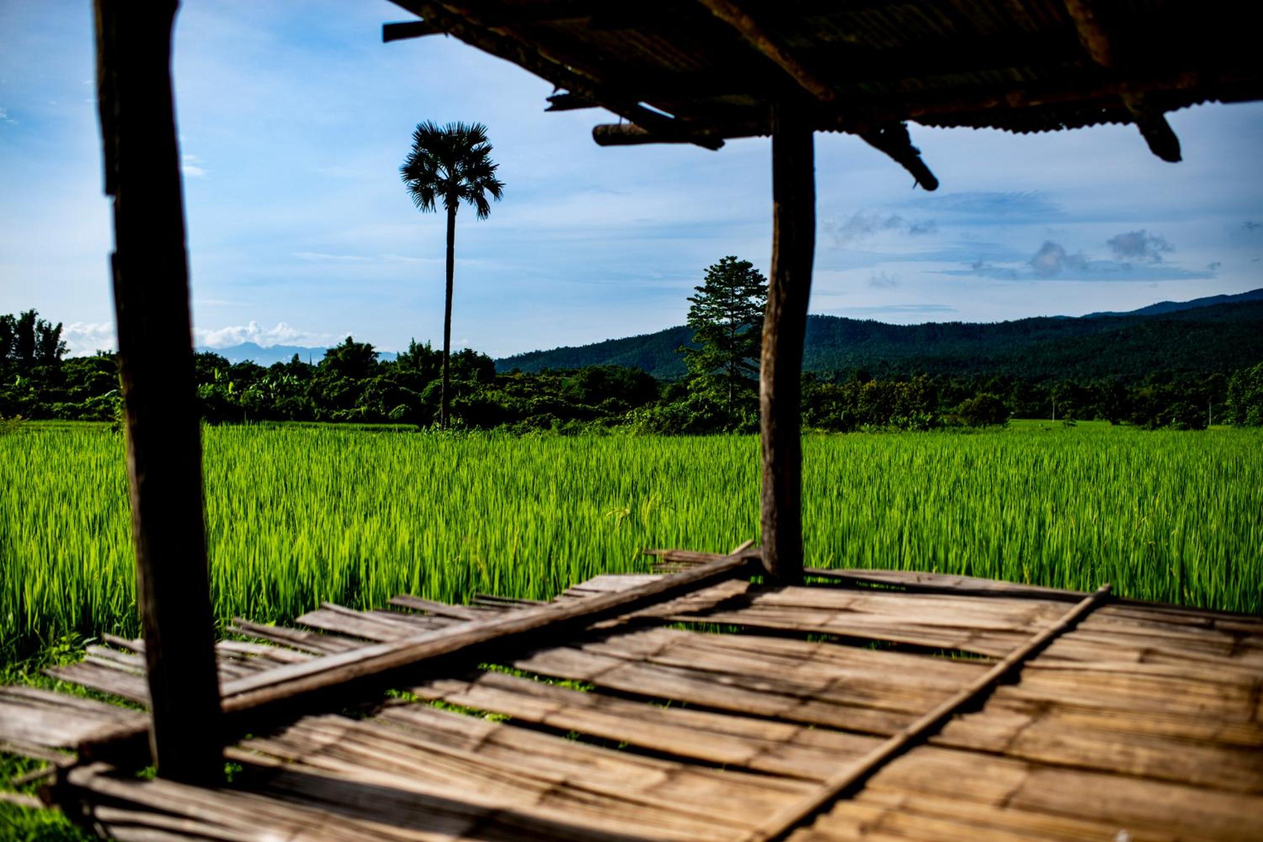 Suan Sook Homestay