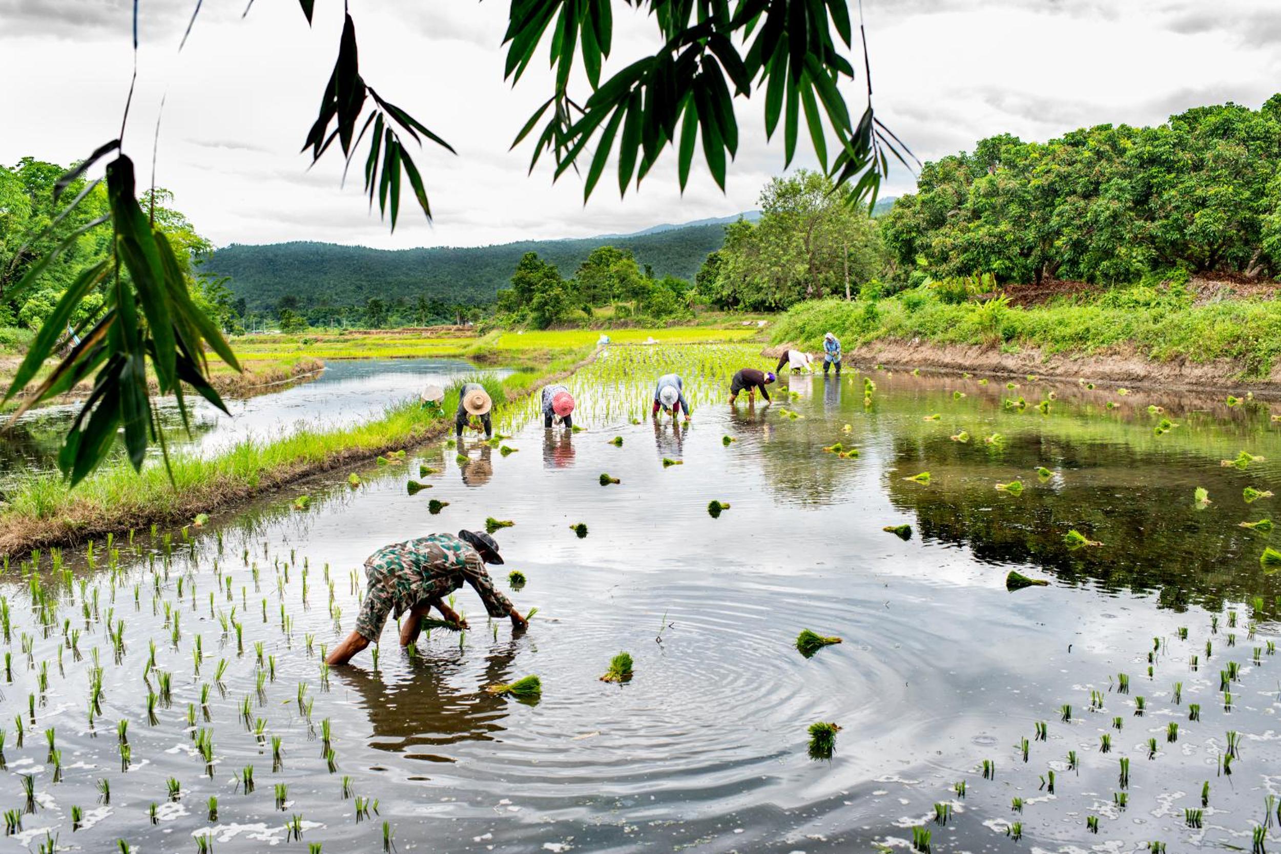 Suan Sook Homestay