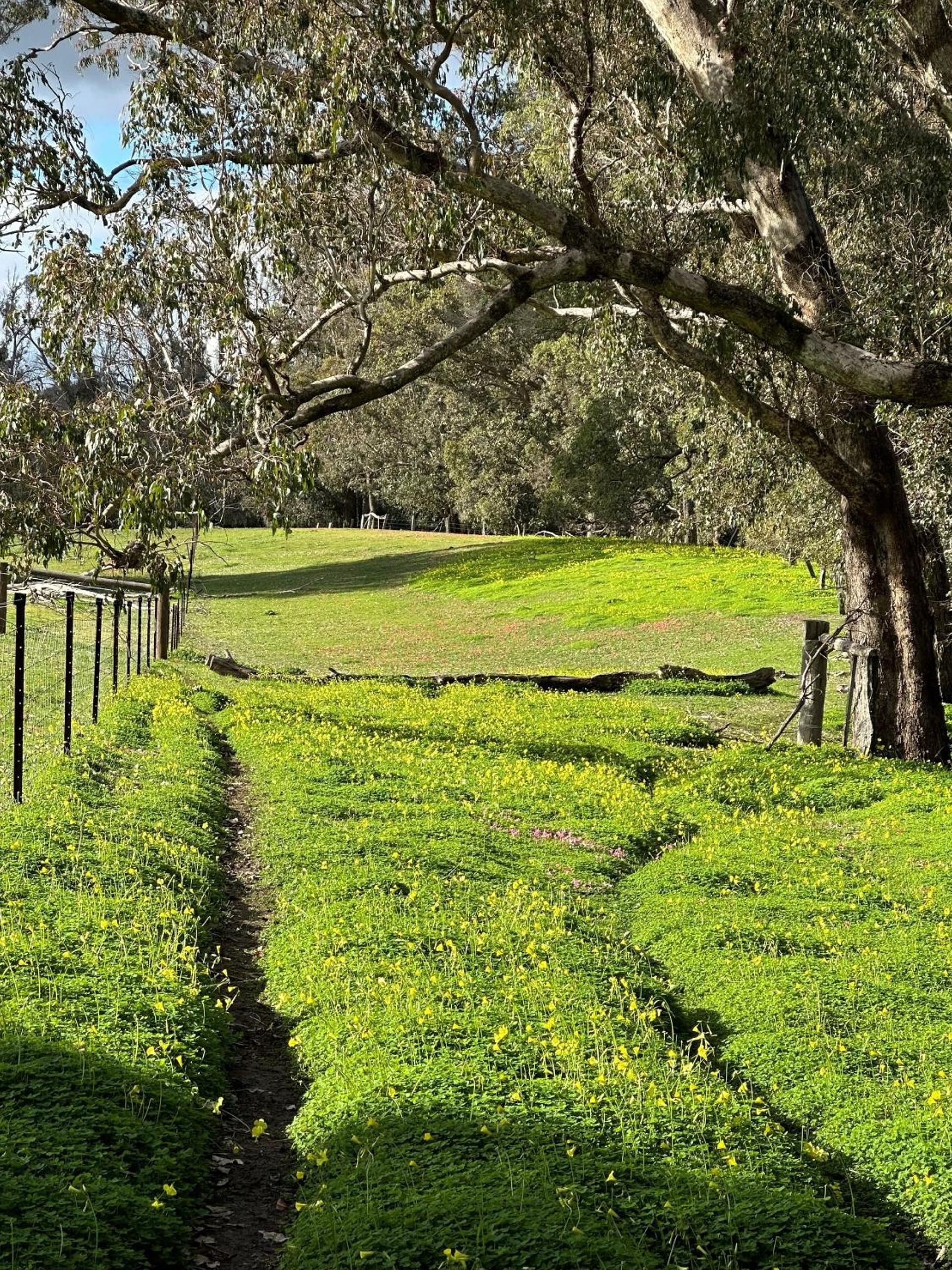 Nannup Rise Holiday Home
