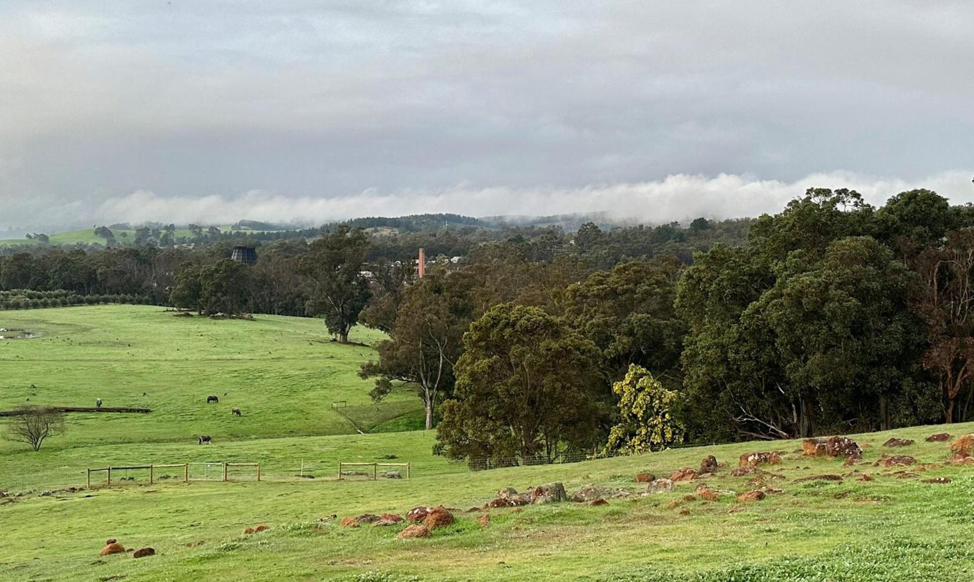 Nannup Rise Holiday Home