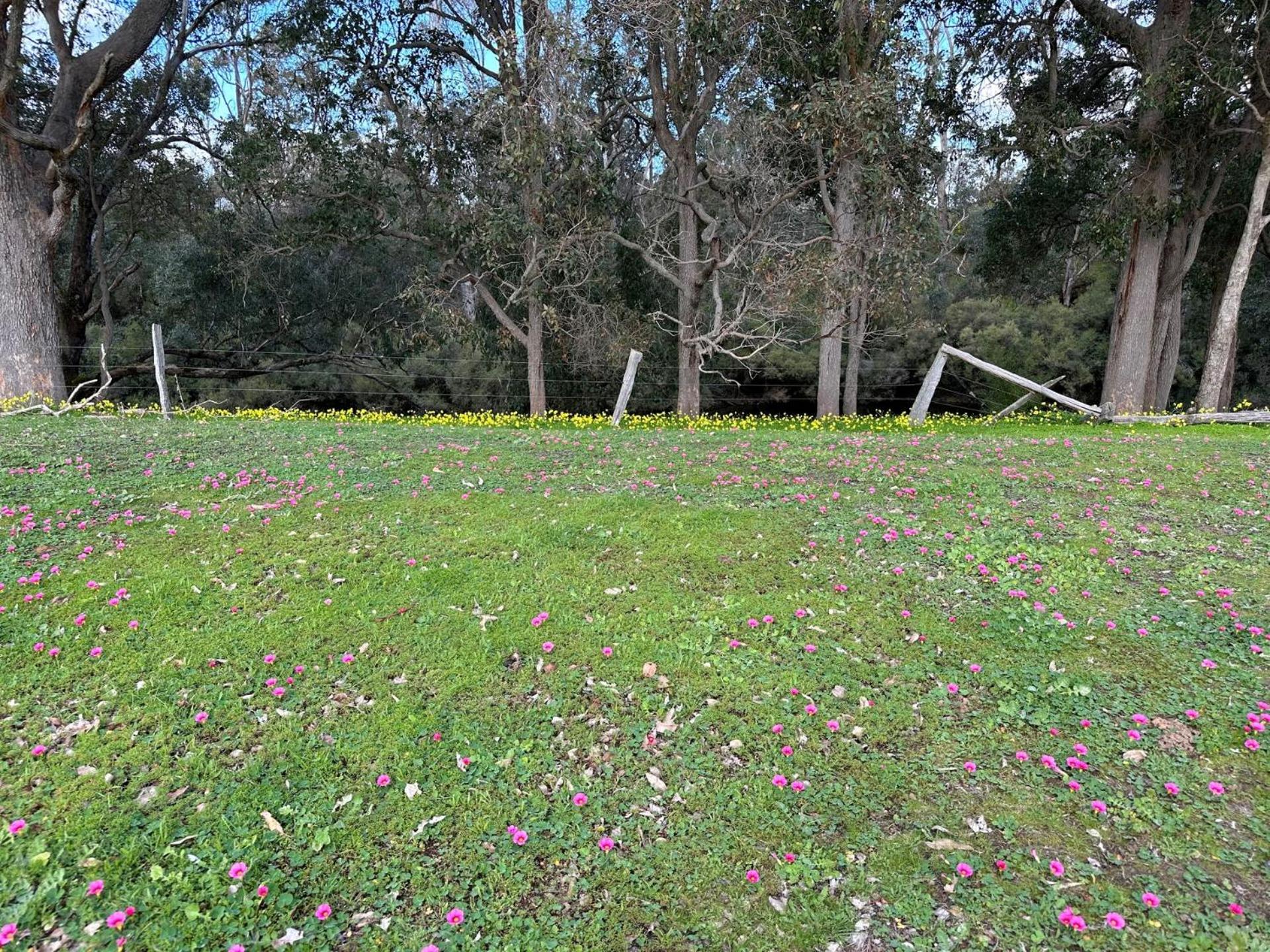 Nannup Rise Holiday Home