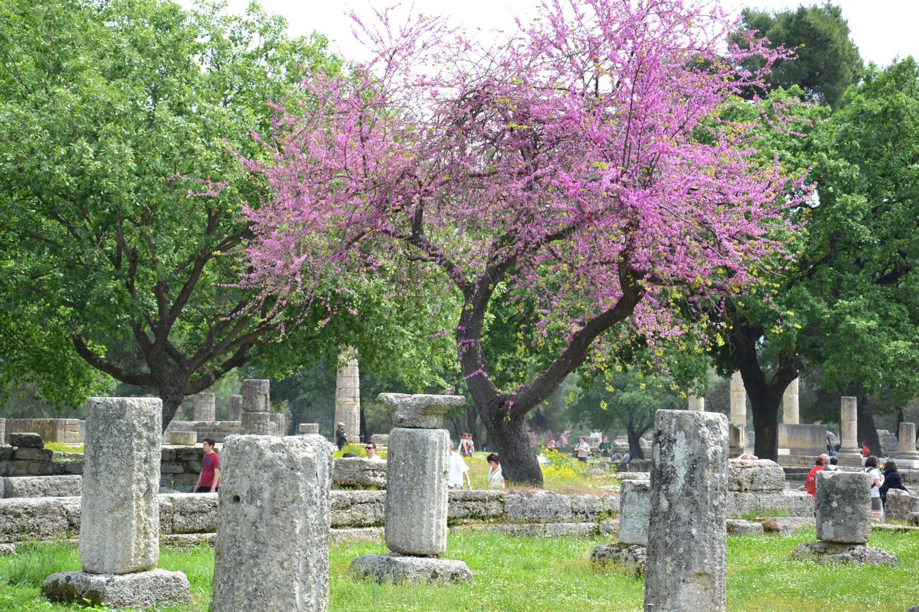 Yiannis' Maizonette Ancient Olympia - Happy Rentals