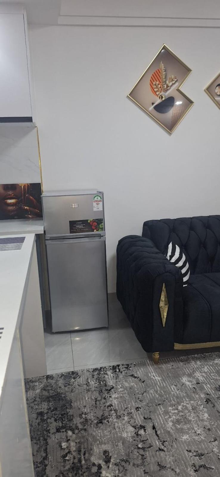 Kilimani Cosy furnished home view 4