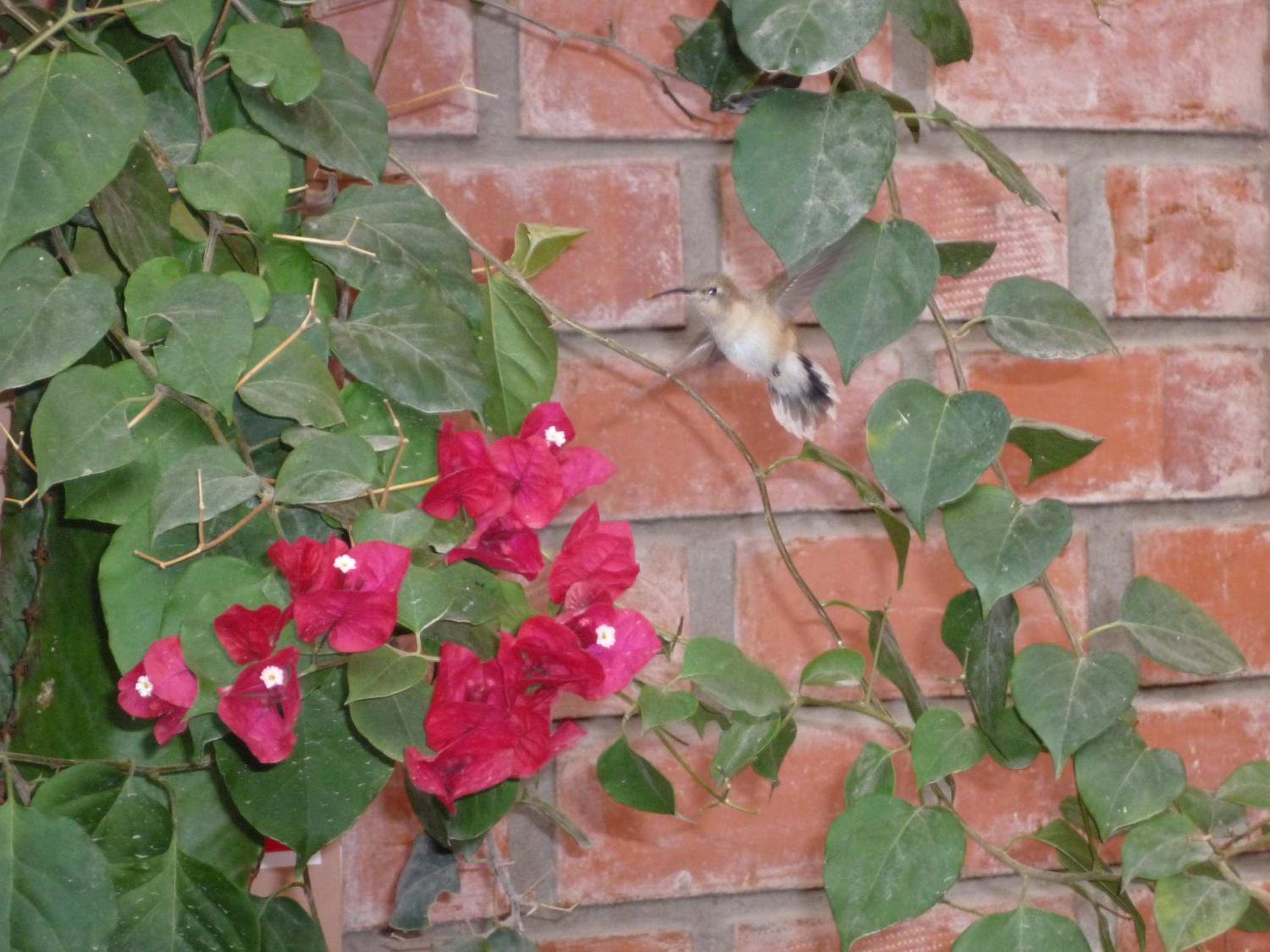 Photo 25