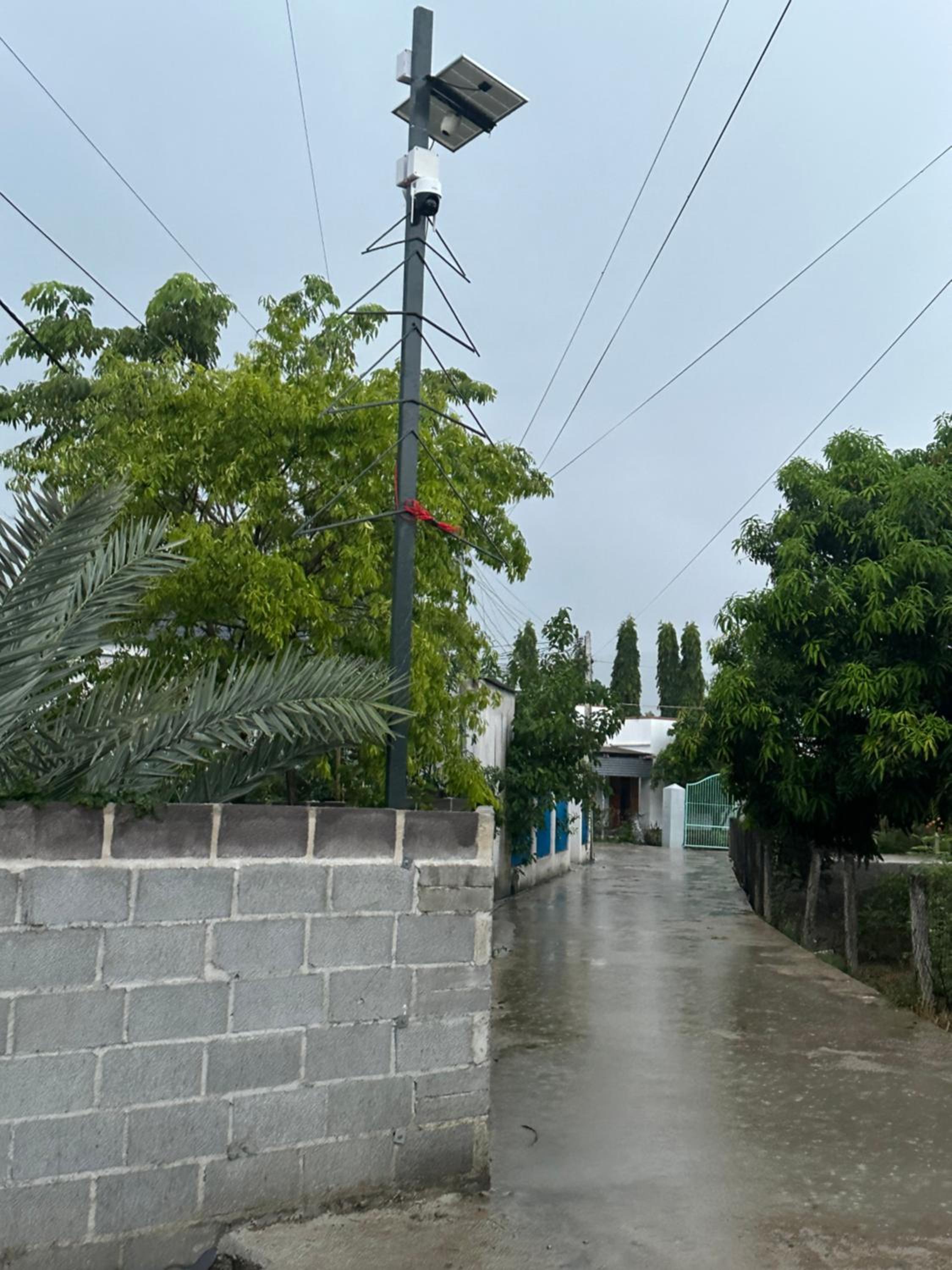 Photo 7