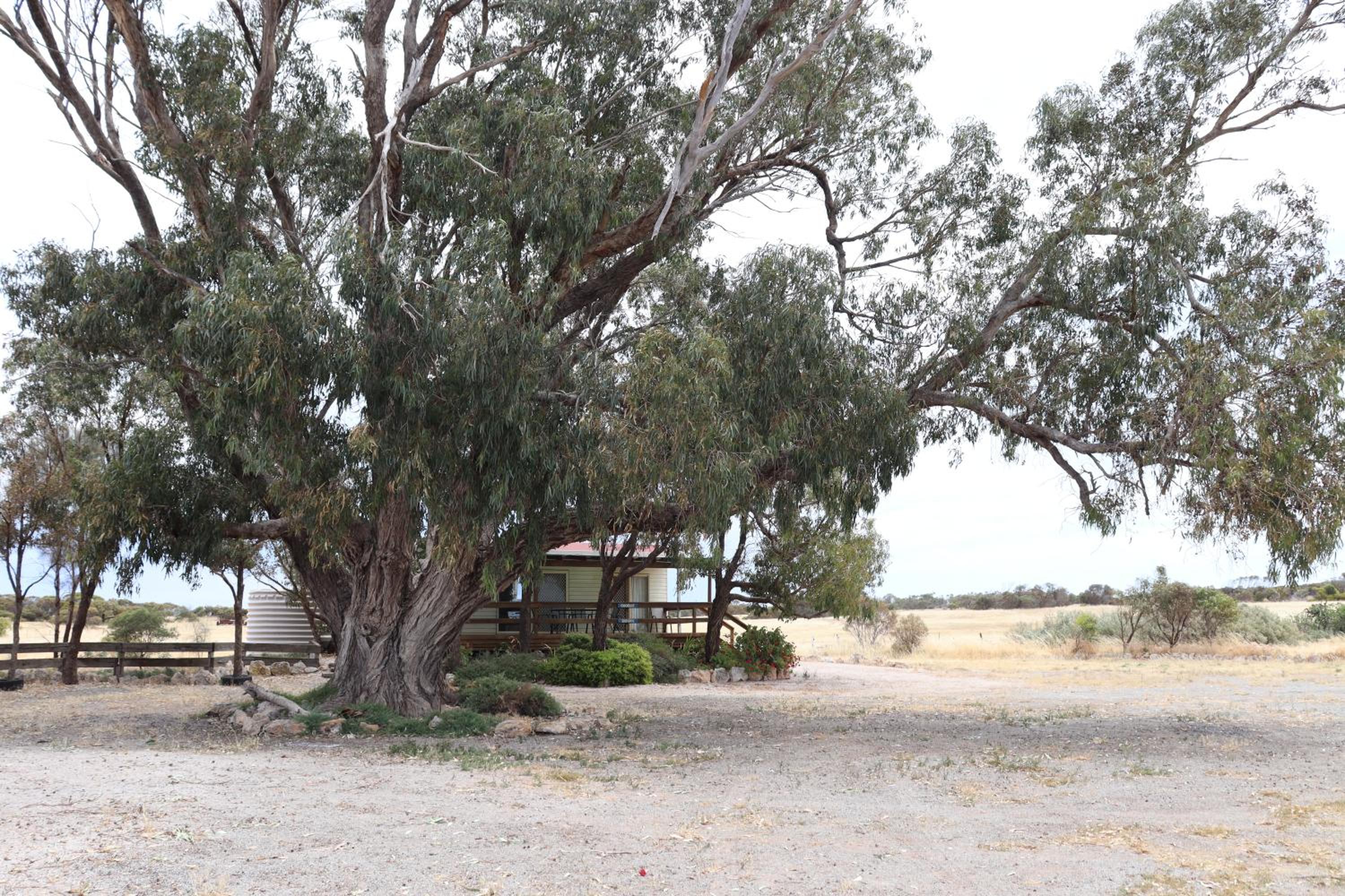 Coodlie Park Eco Retreat