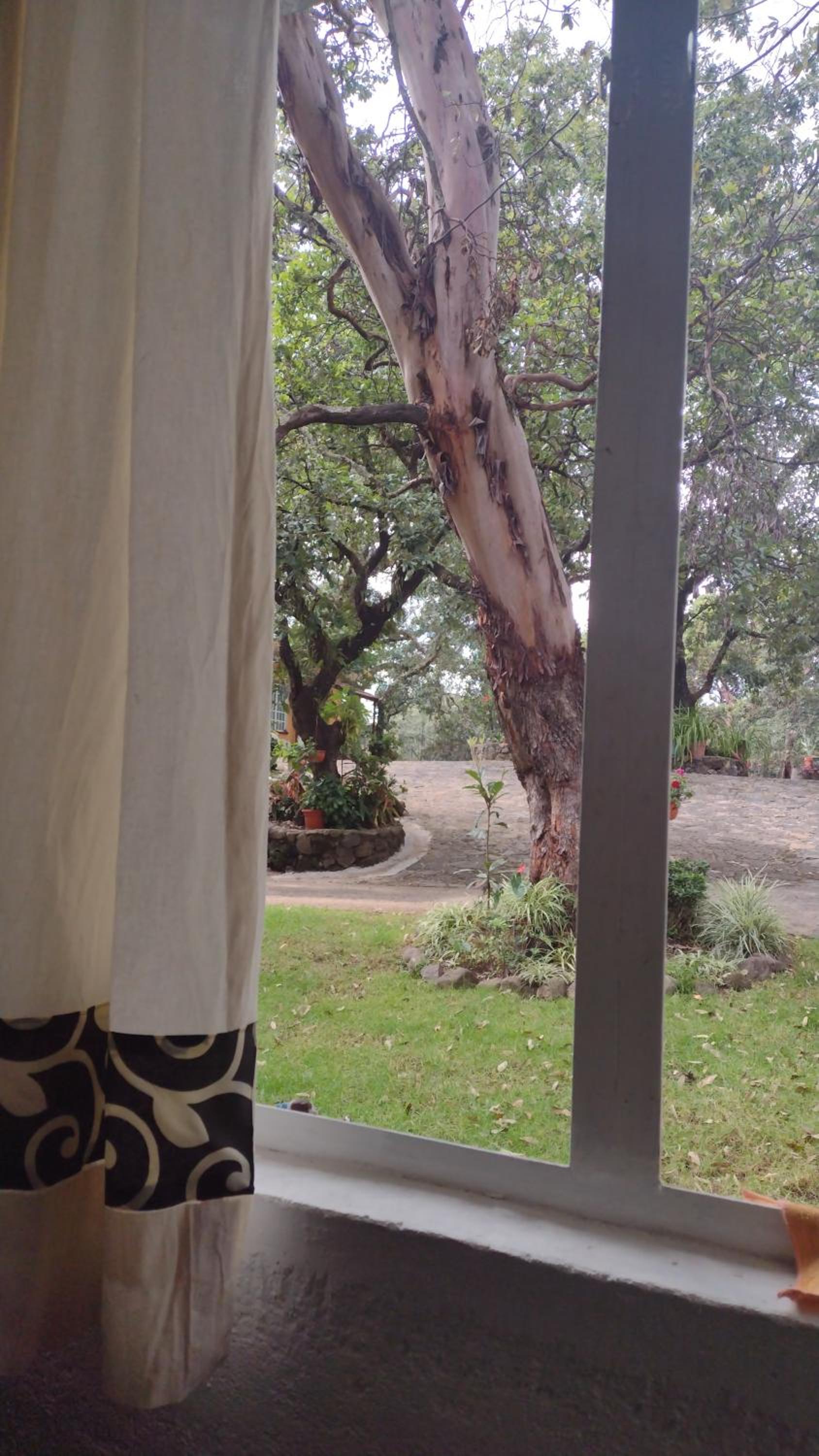Las casitas en Tepoztlán view 5